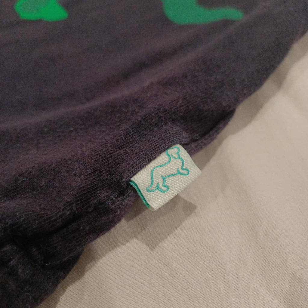 PETER ALEXANDER tops size 3 long sleeve T-Rex