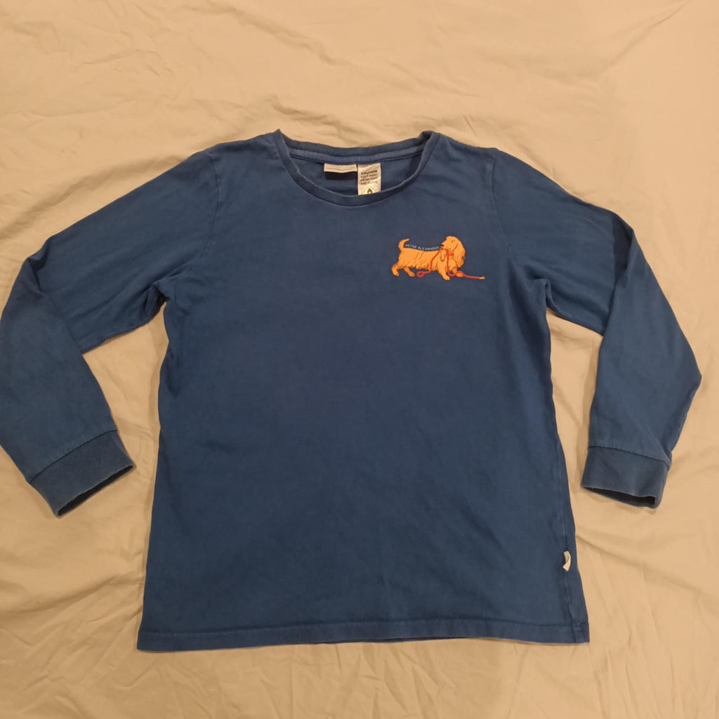 PETER ALEXANDER top size 12 boys blue long sleeve