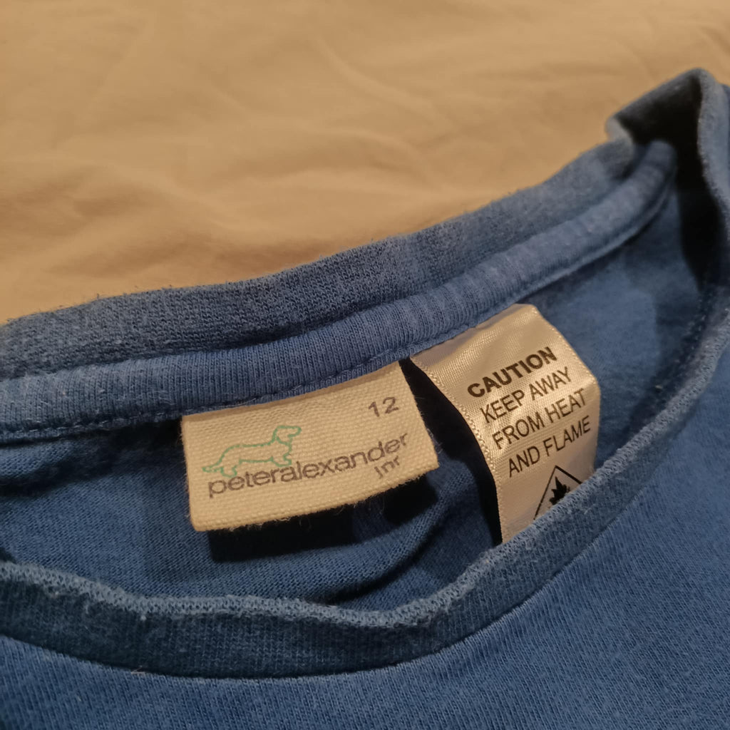 PETER ALEXANDER top size 12 boys blue long sleeve