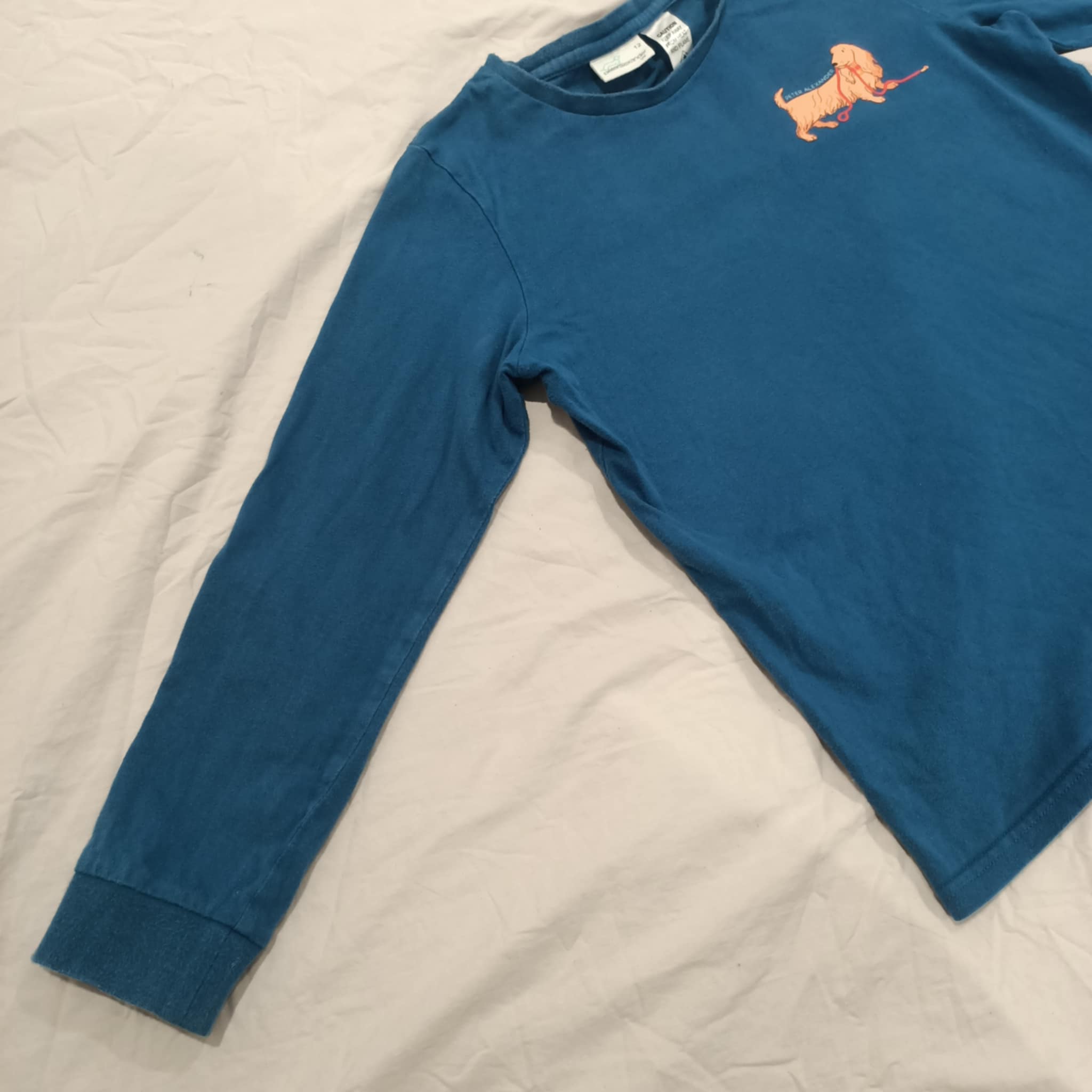 PETER ALEXANDER top size 12 boys blue long sleeve