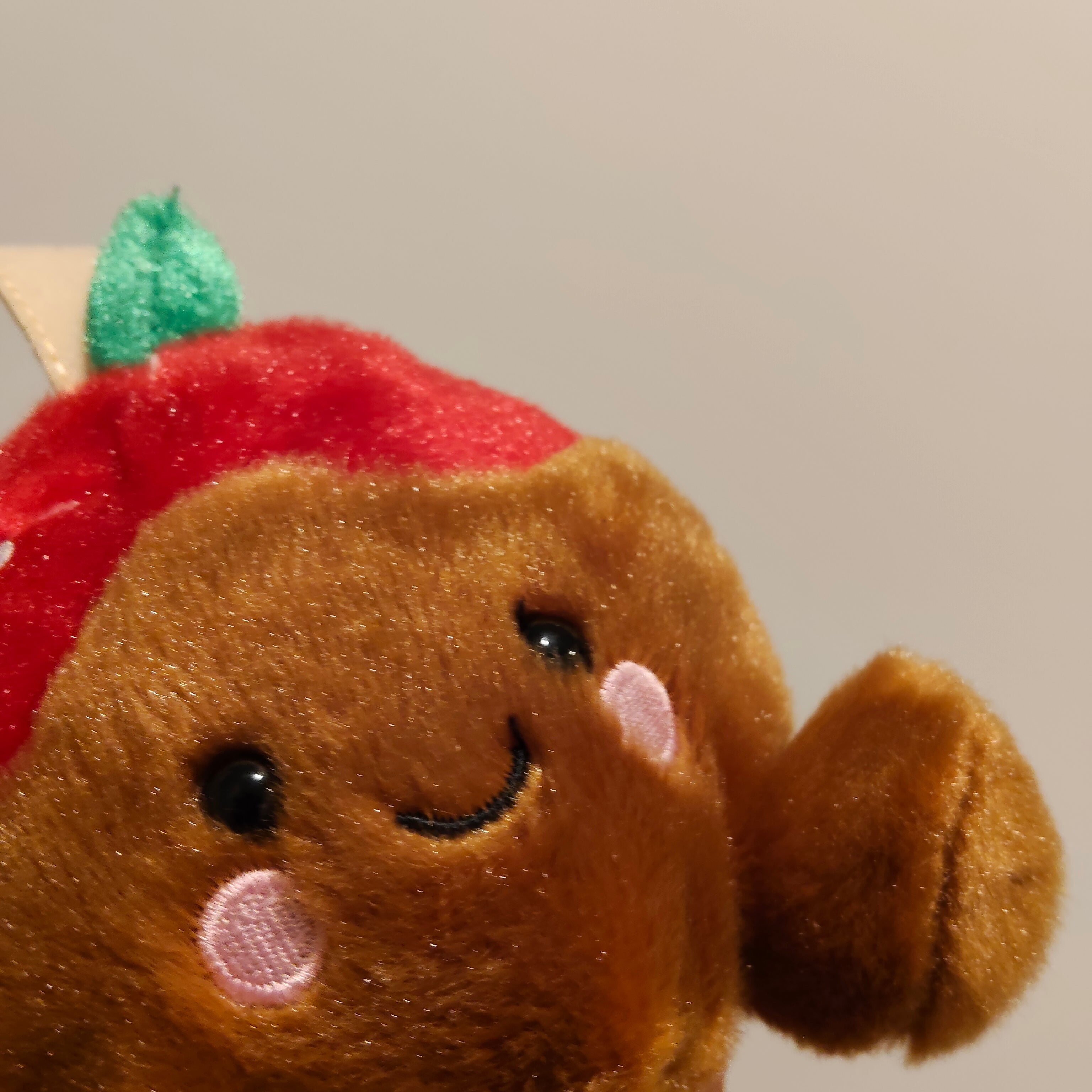 PALM PALS fruit soft toy small