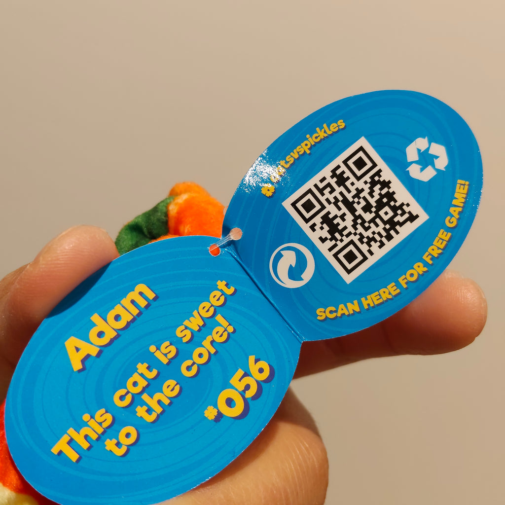 *NEW Cat vs Pickle soft toy small