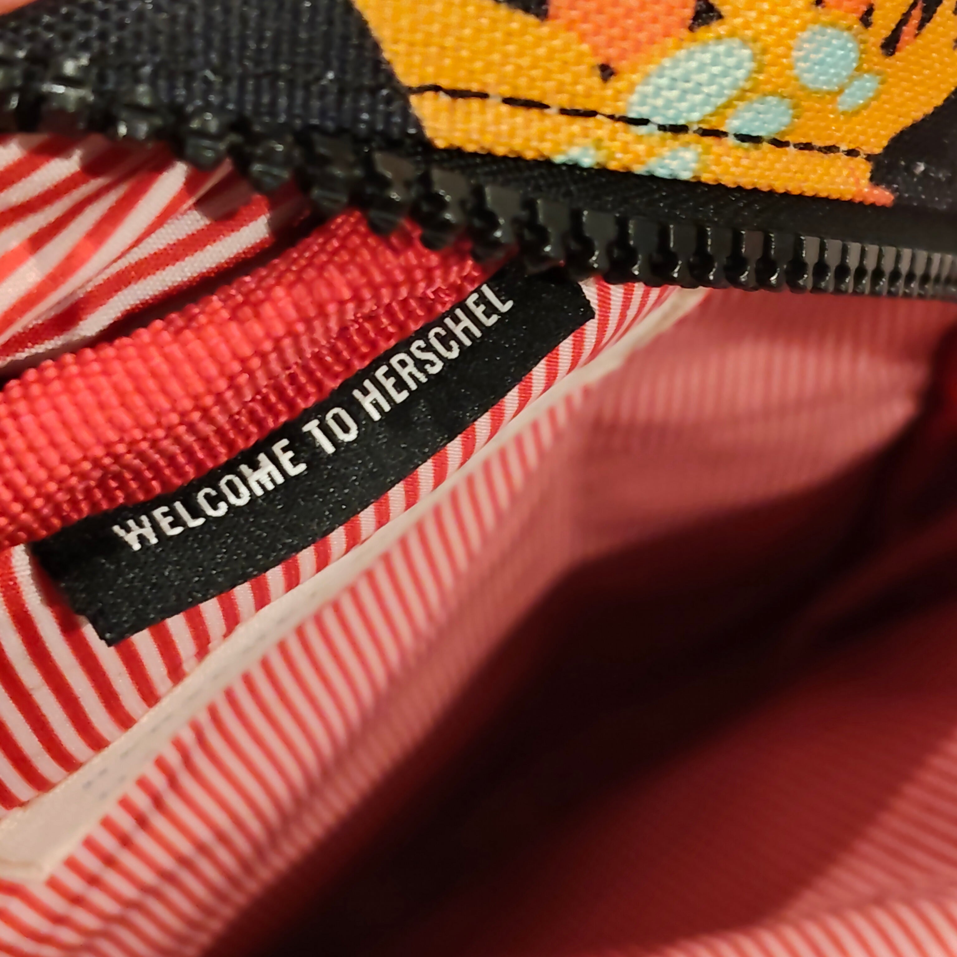 HERSCHEL backpack dinosaur small