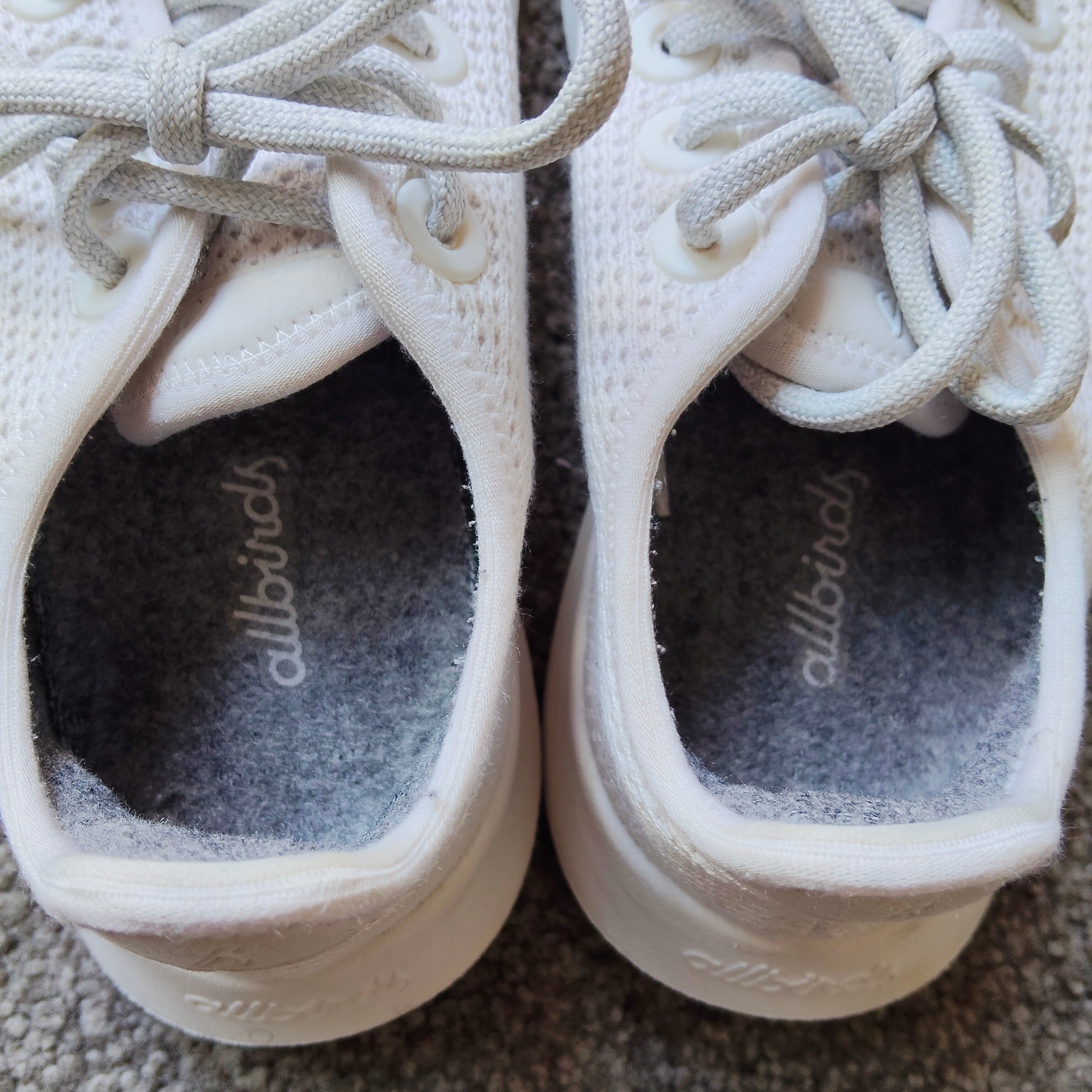 ALL BIRDS shoes size 6 Women