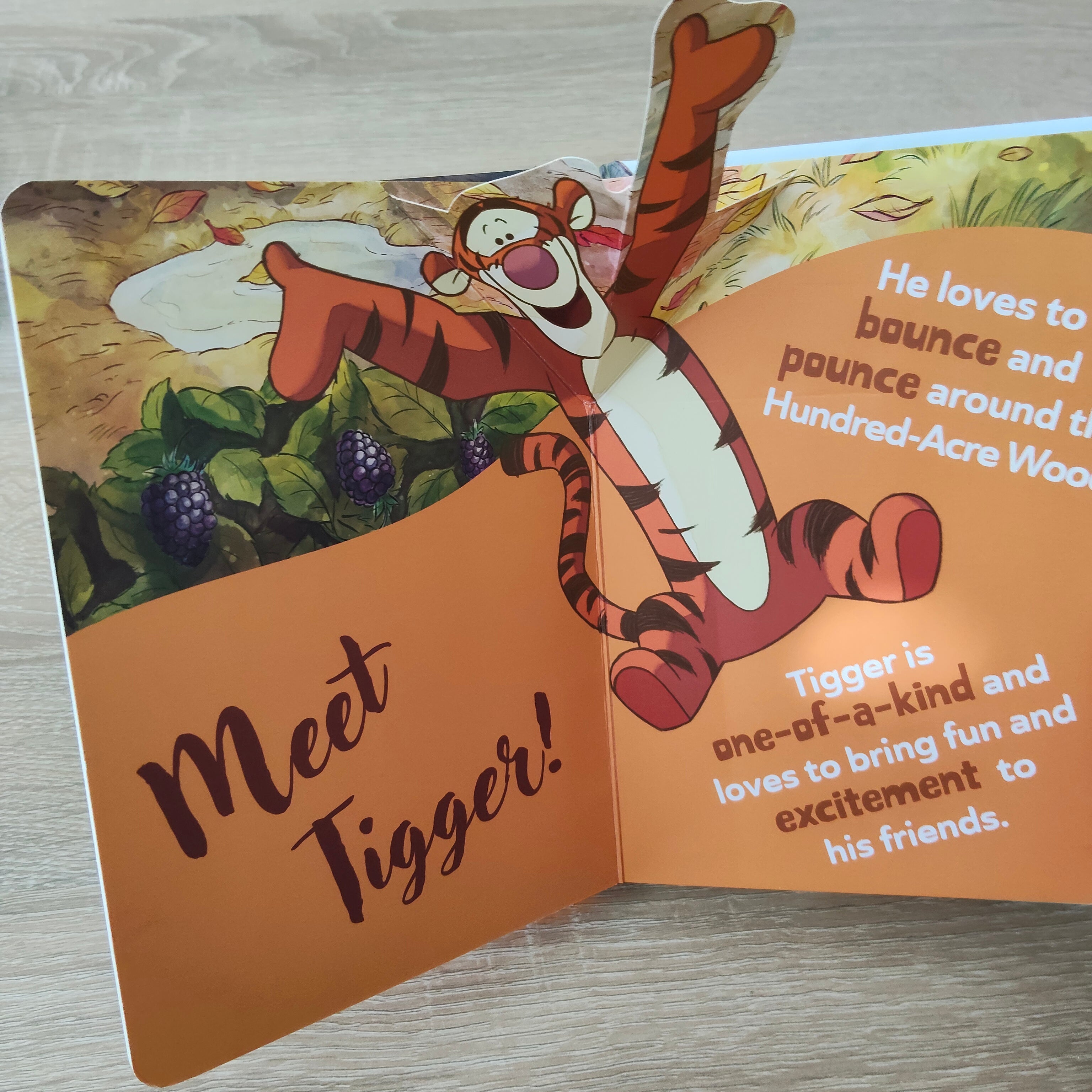 DISNEY Winnie the Pooh POP-UP Book