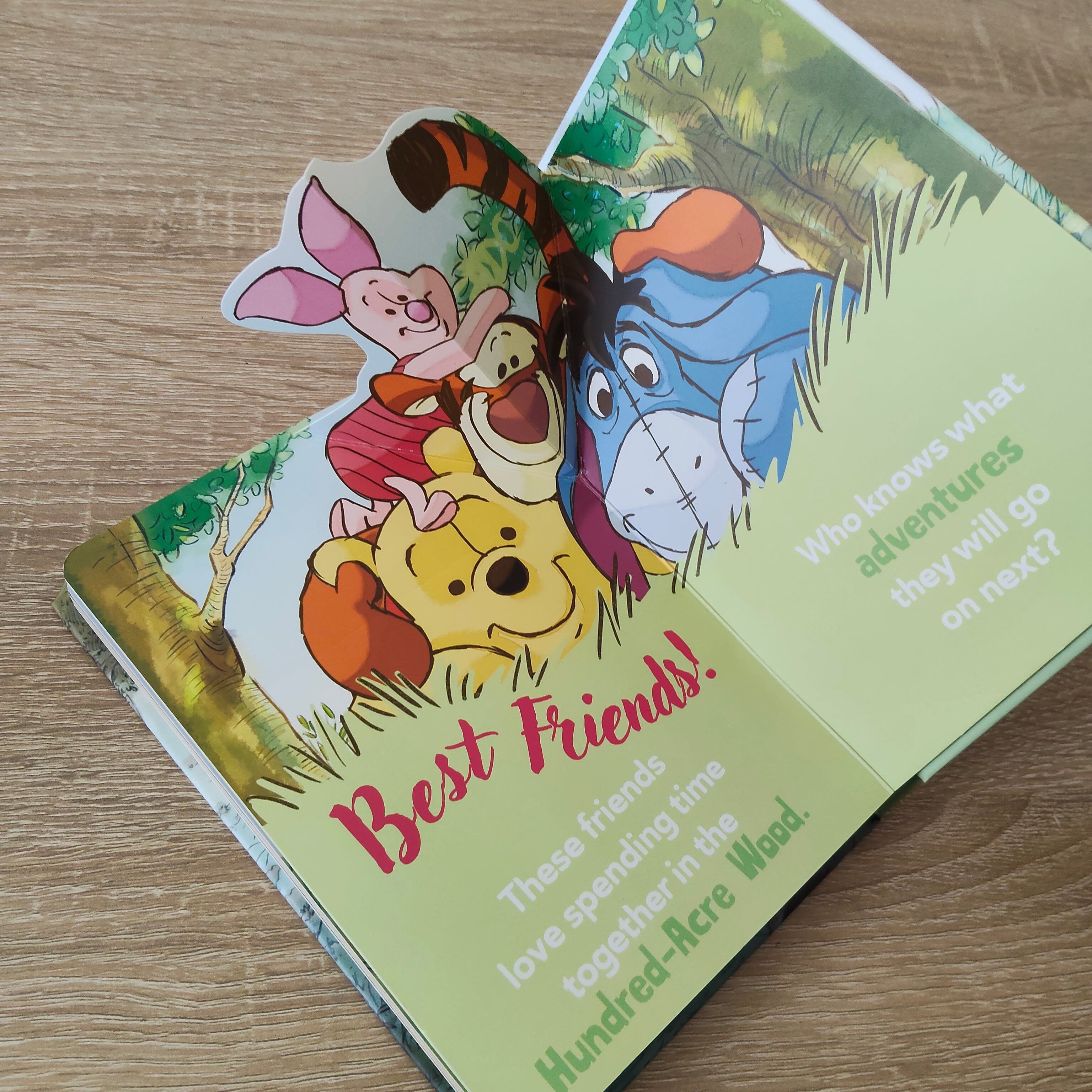DISNEY Winnie the Pooh POP-UP Book