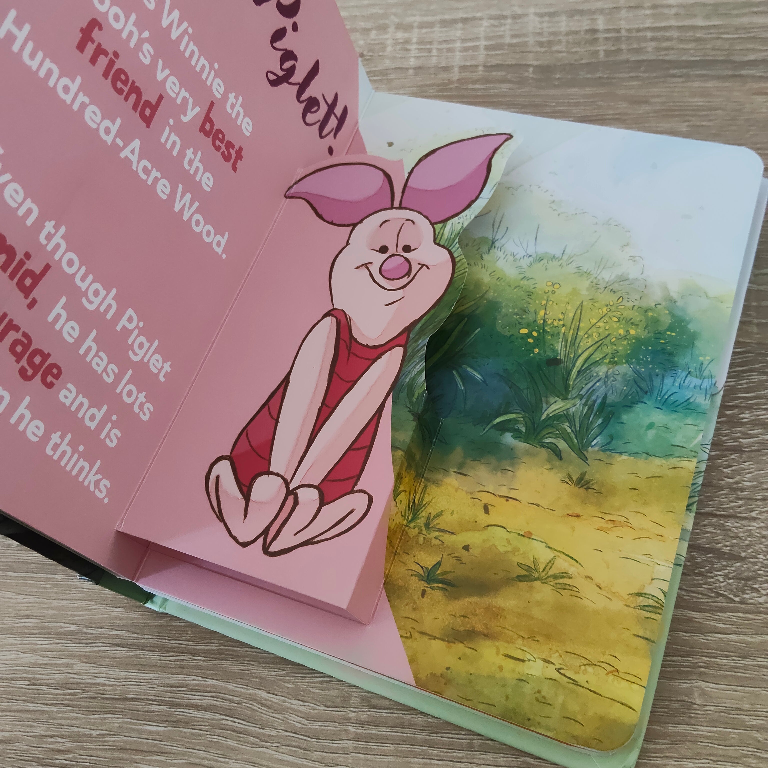 DISNEY Winnie the Pooh POP-UP Book