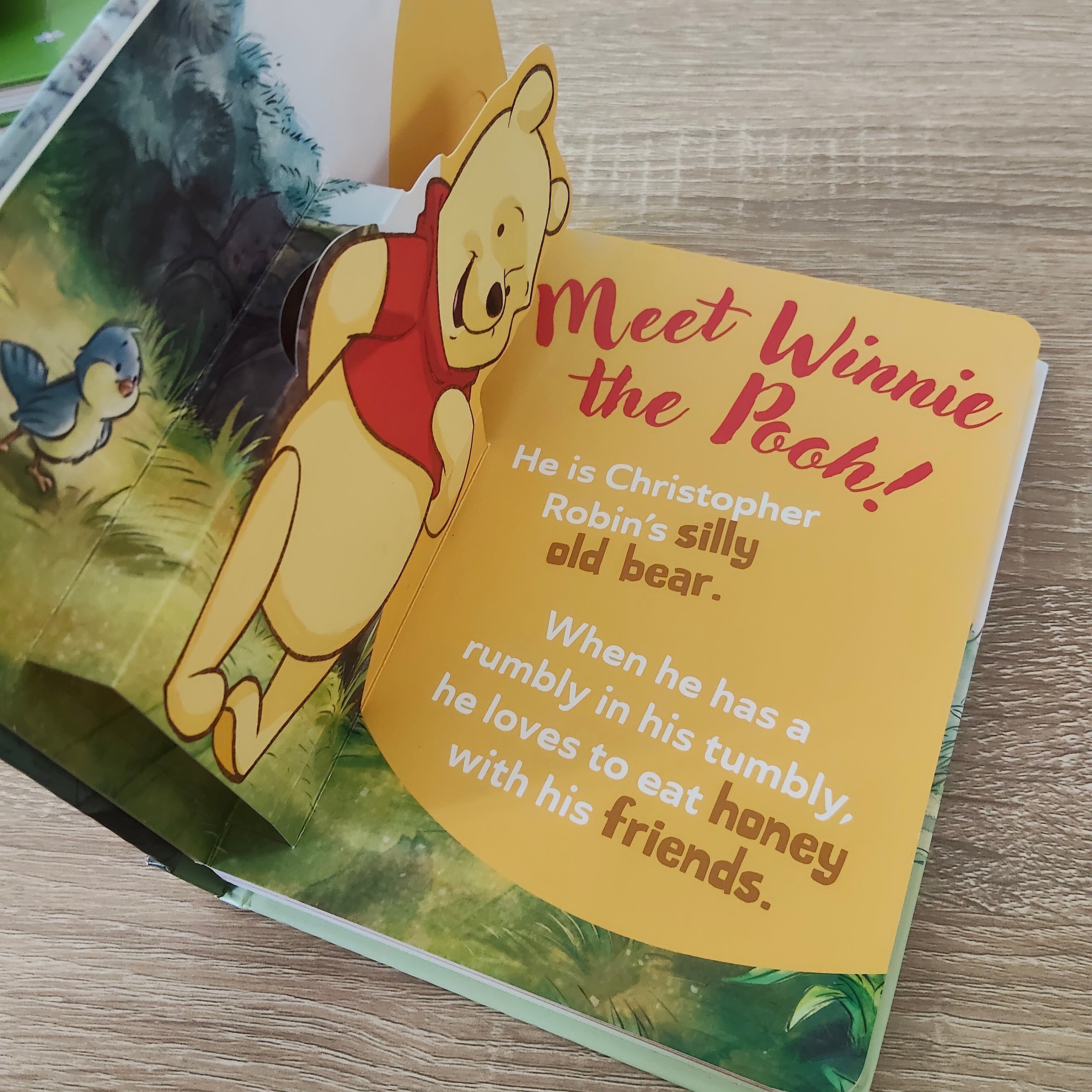 DISNEY Winnie the Pooh POP-UP Book