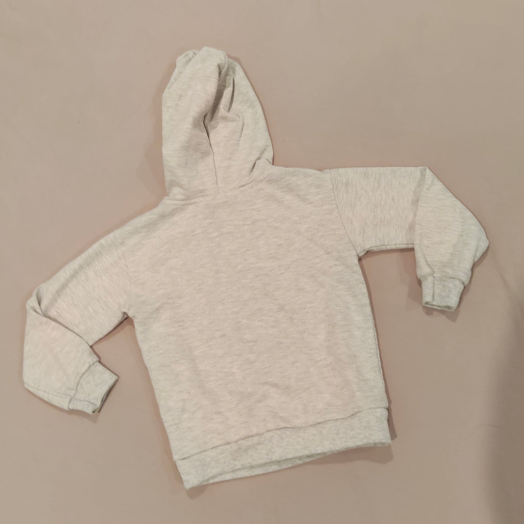 POKEMON Pikachu hoodie size 5 boys