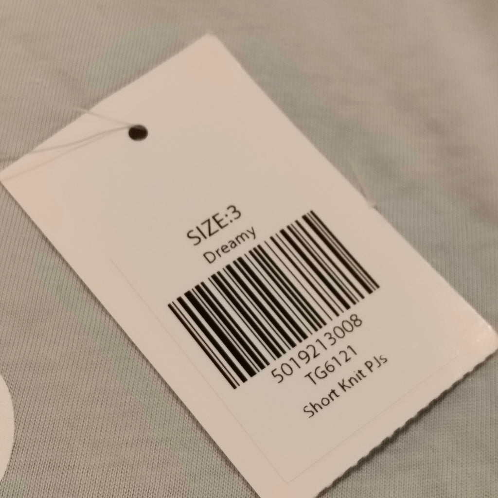NEW Ricoche tee size 3 girls short sleeve light blue BNWT