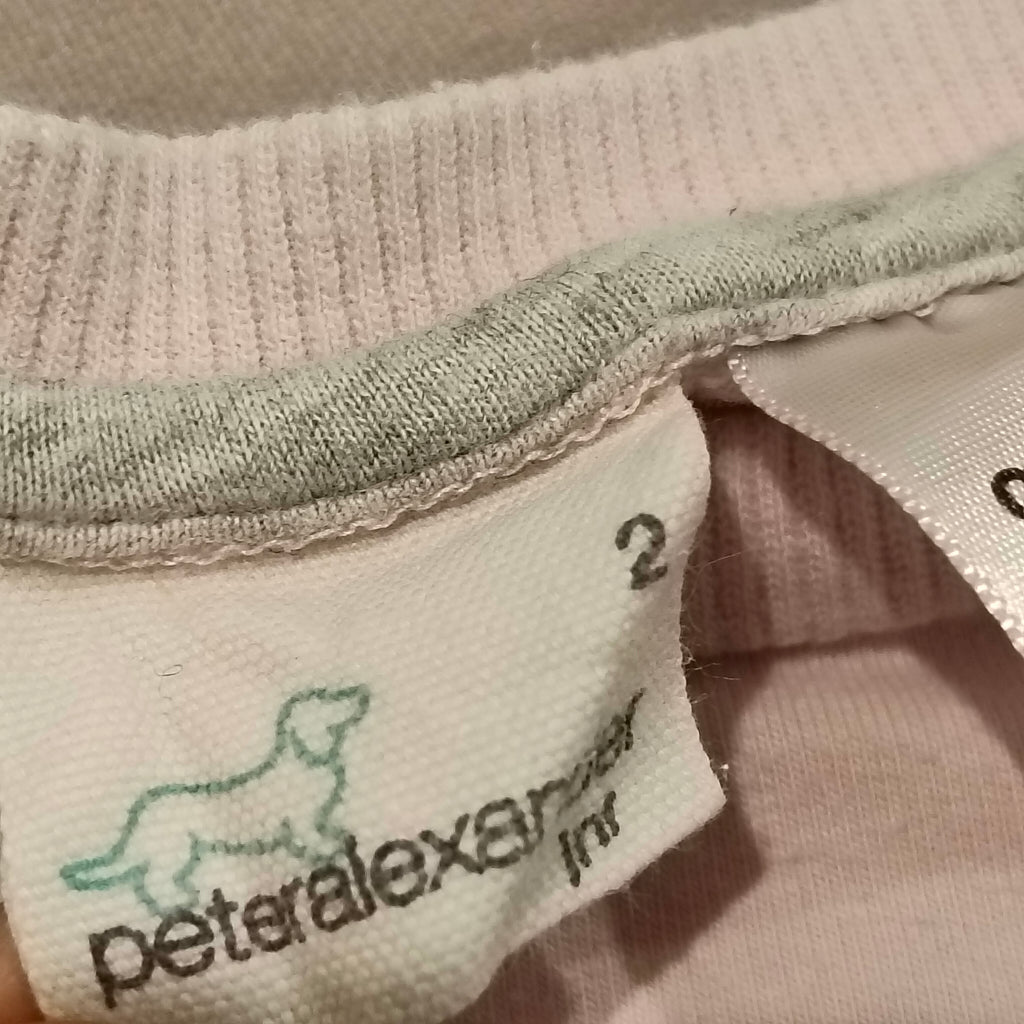 PETER ALEXANDER top size 2 girls long sleeve light pink