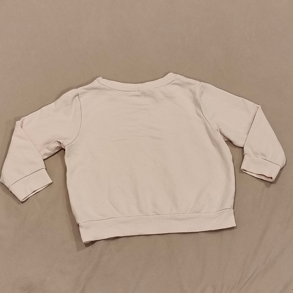 PETER ALEXANDER top size 2 girls long sleeve light pink