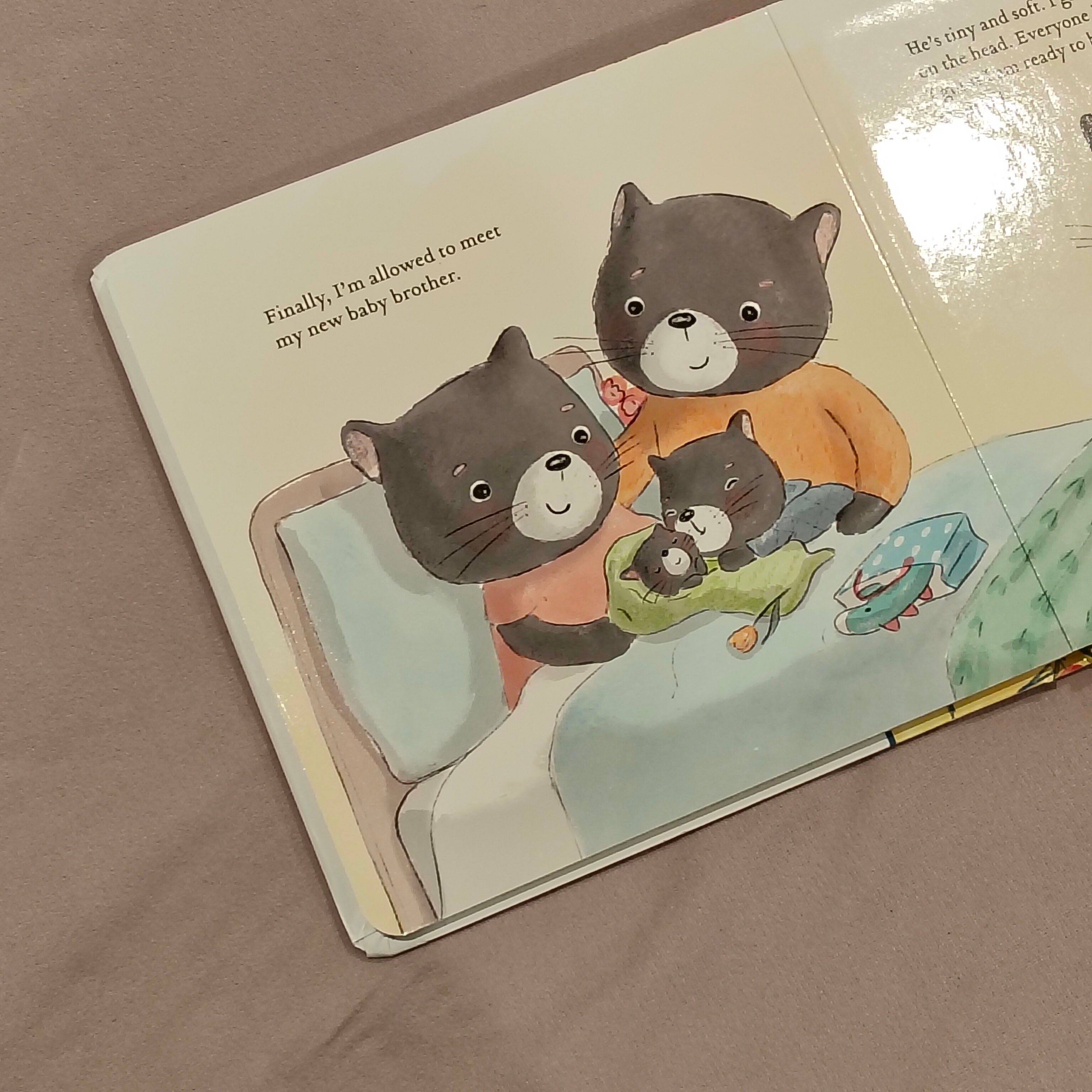 I'm Ready for the New Baby by Jedda Robaard - Board Book