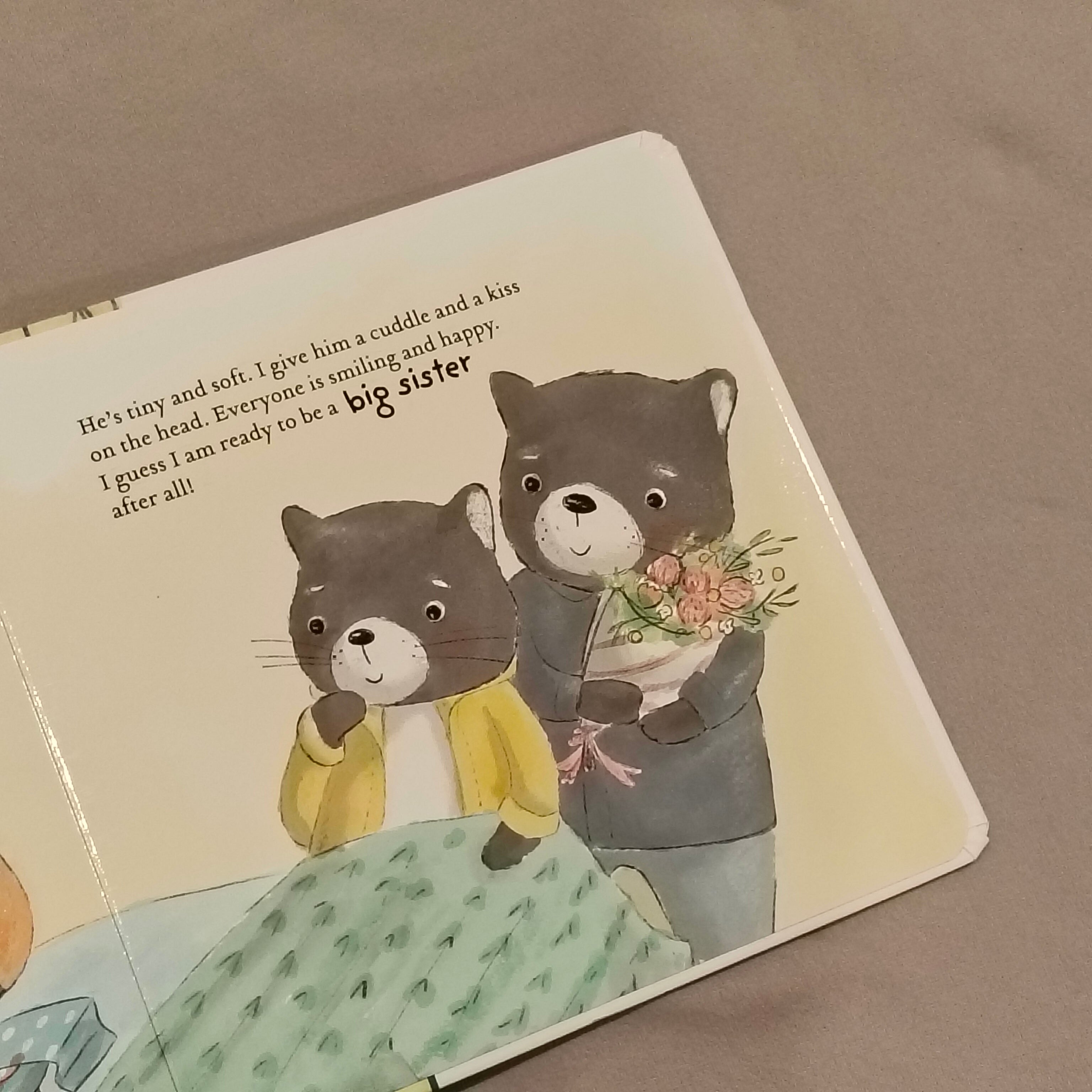 I'm Ready for the New Baby by Jedda Robaard - Board Book