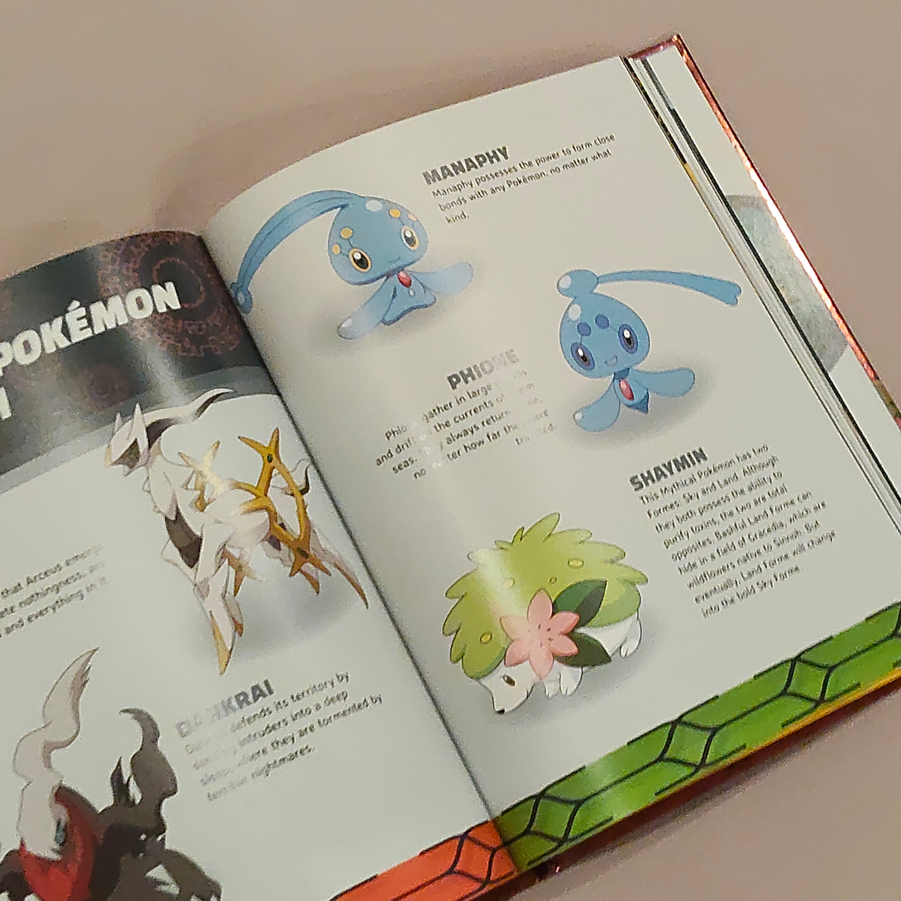 POKEMON Ash's Quest - Hardcover Book