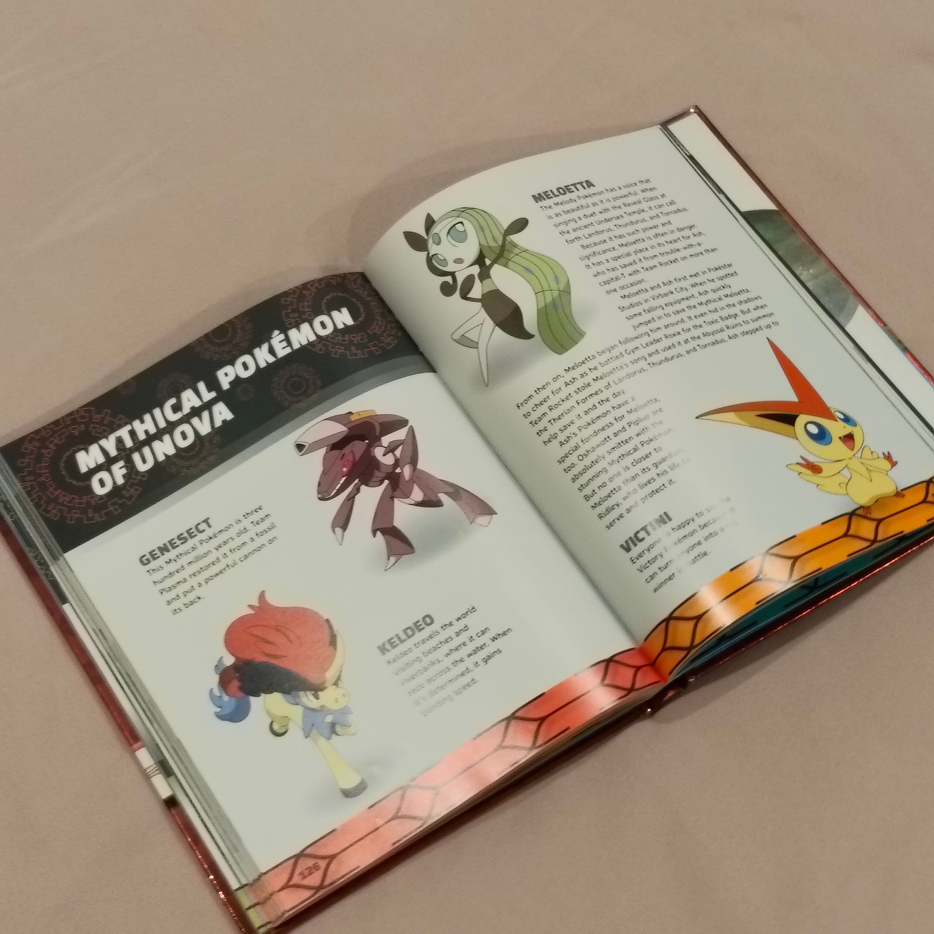 POKEMON Ash's Quest - Hardcover Book
