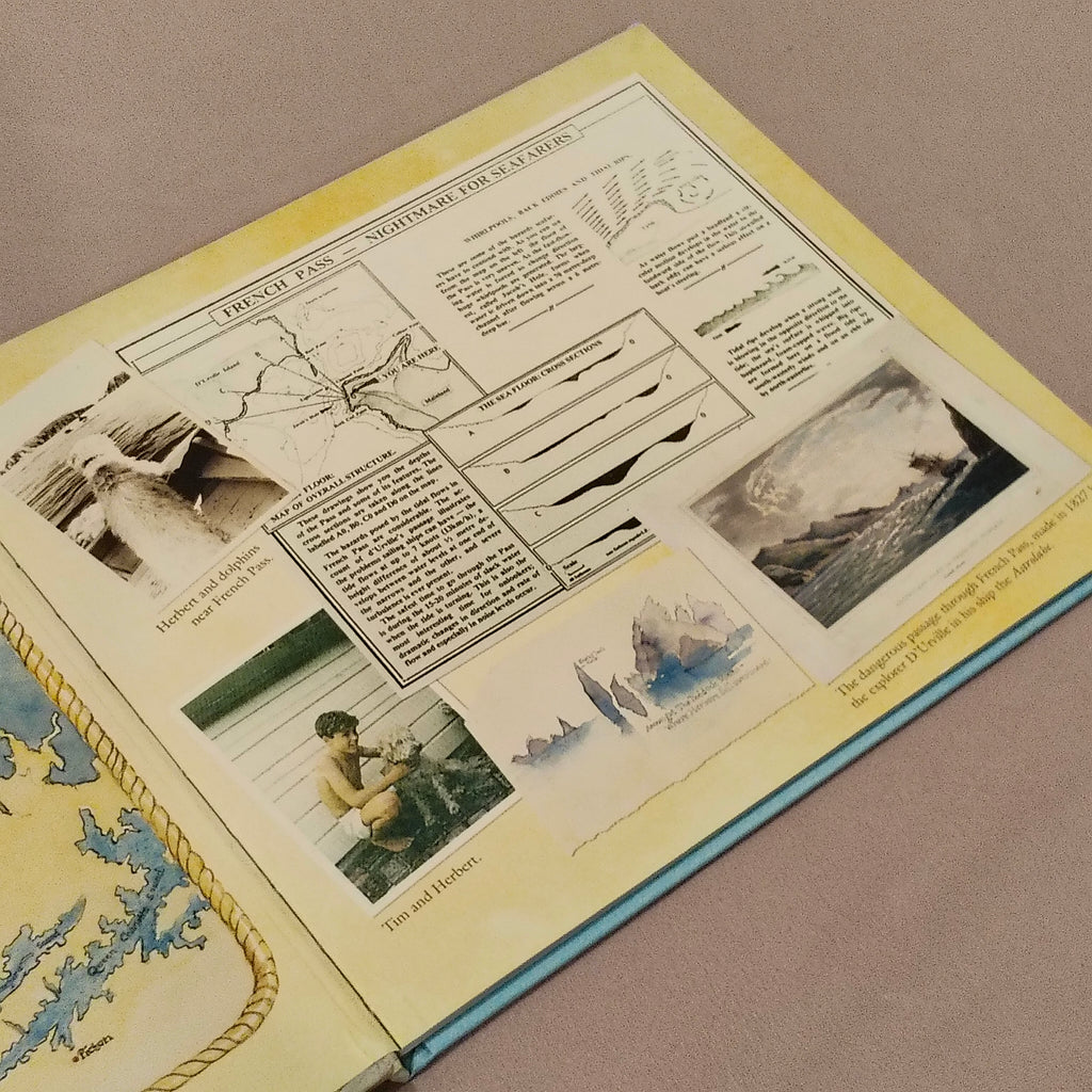 Herbert: The Brave Sea Dog Book Hardcover