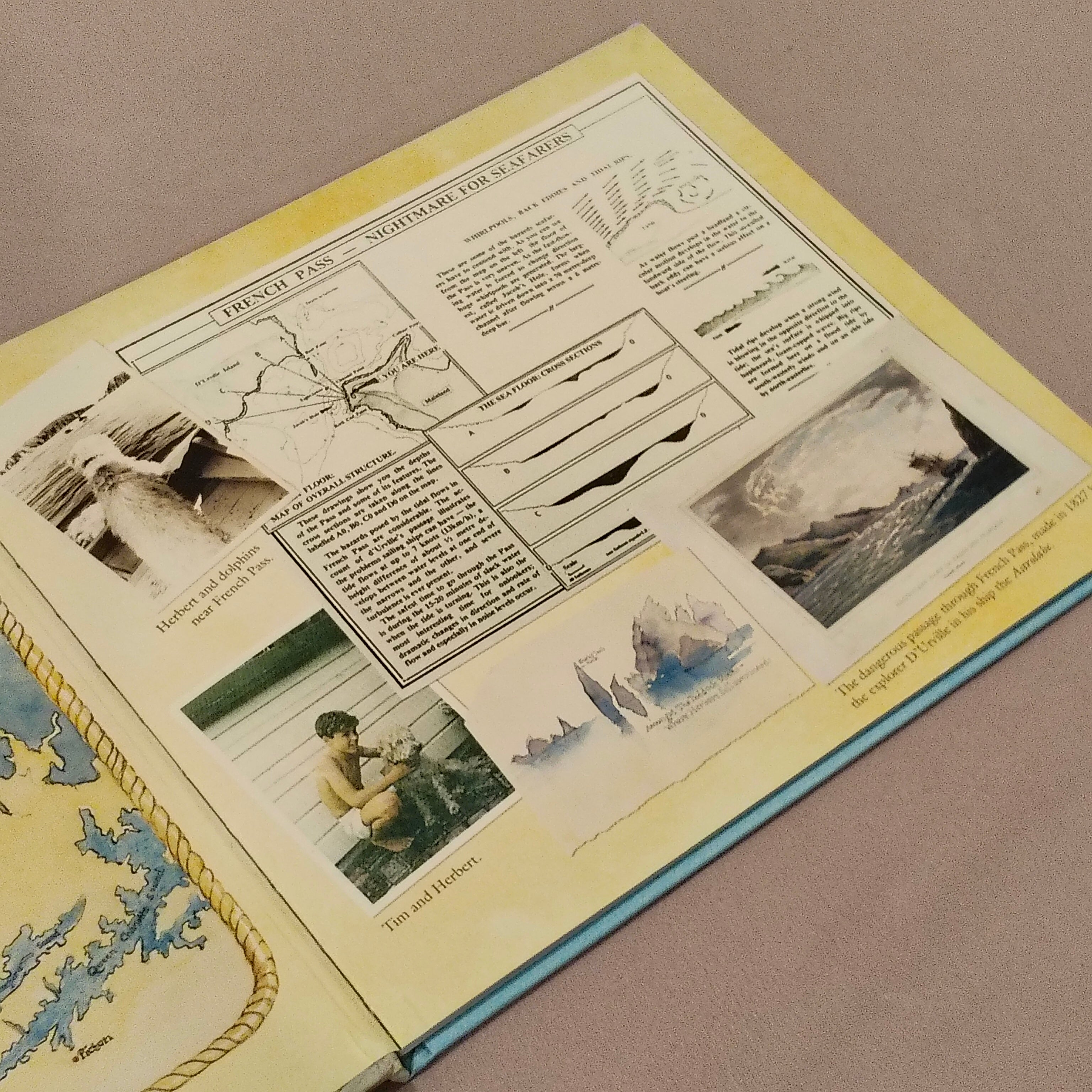 Herbert: The Brave Sea Dog Book Hardcover
