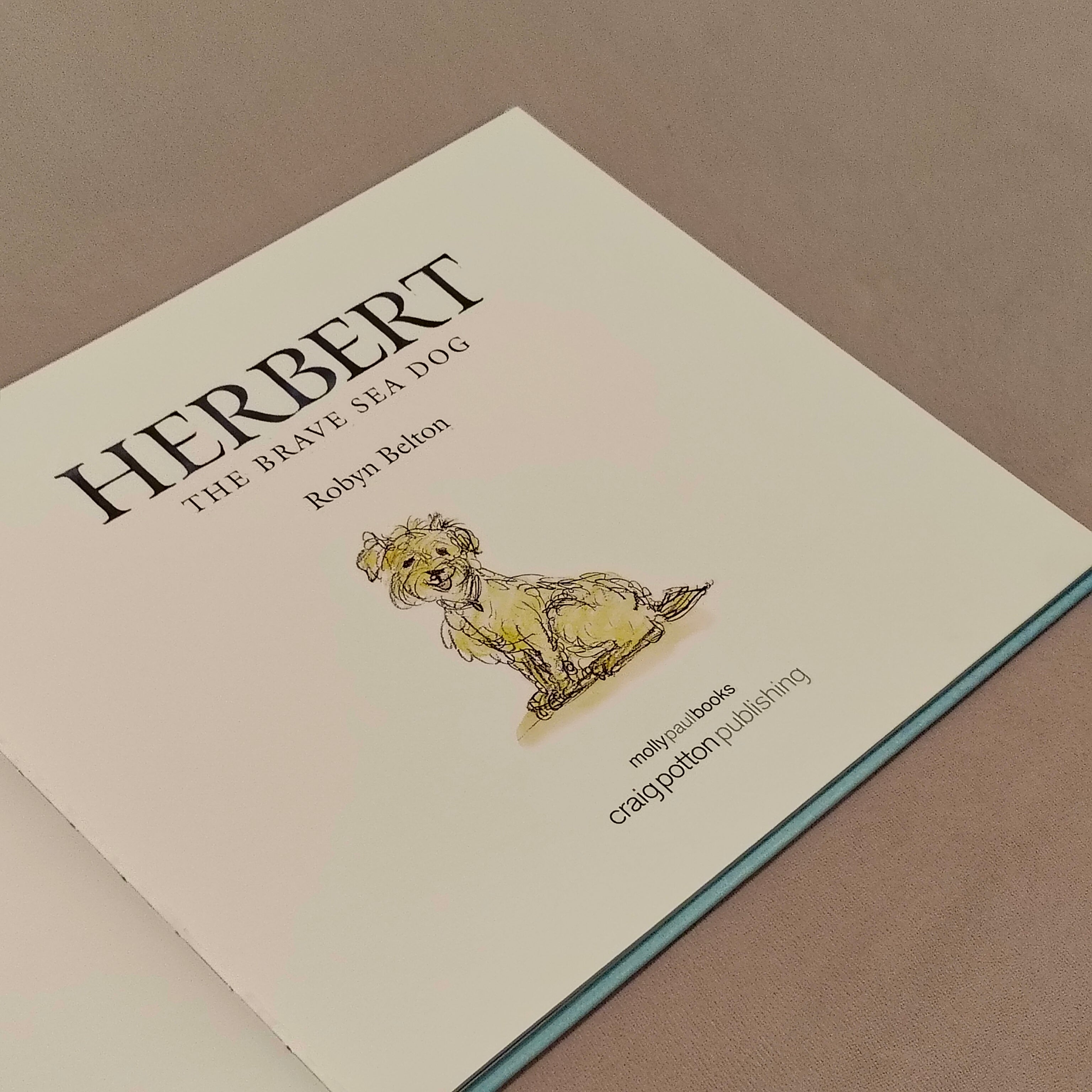 Herbert: The Brave Sea Dog Book Hardcover