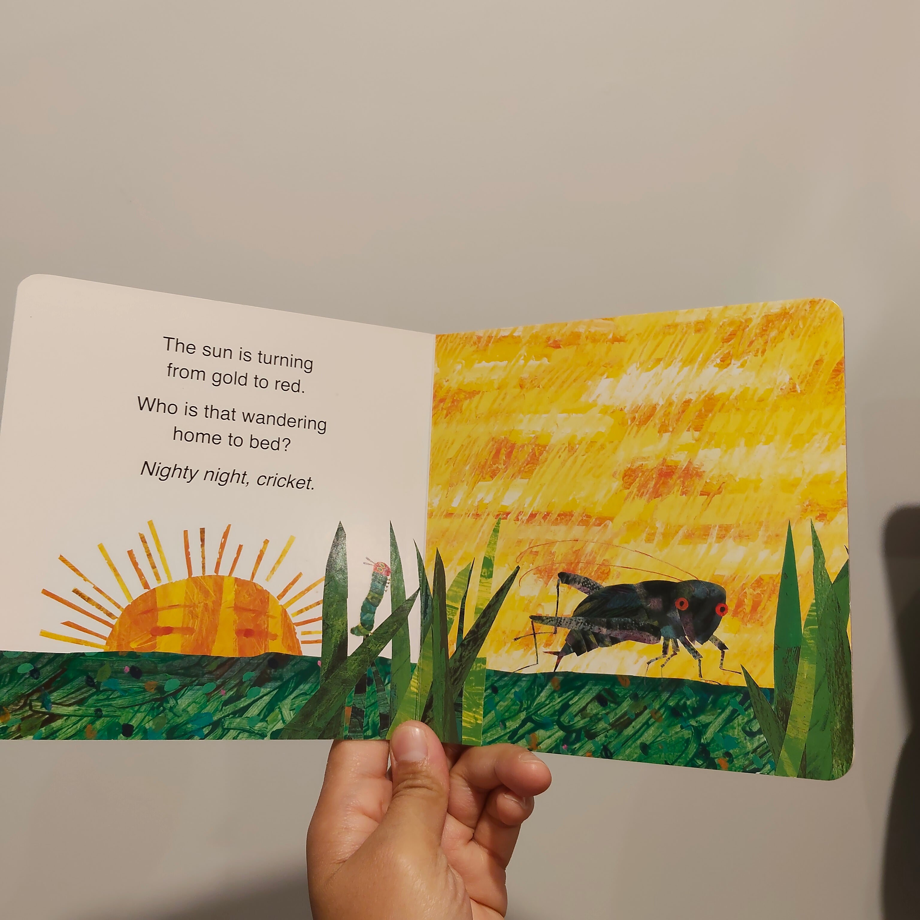 Sleep Tight Very Hungry Caterpillar by Eric Carle Board Book