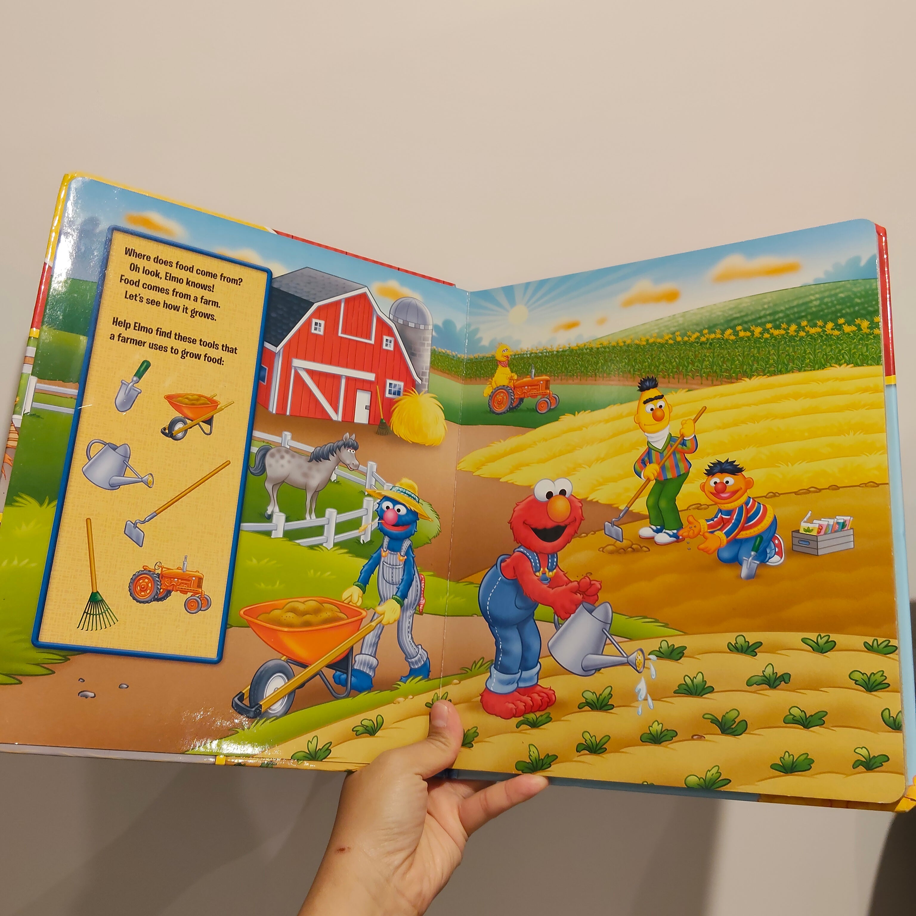 Sesame Street: Moo! Moo! Cock-A-Doodle-Doo!...and Elmo Too! by Susan Rich Brooke; Tom Brannon (Illustrator) Board Book