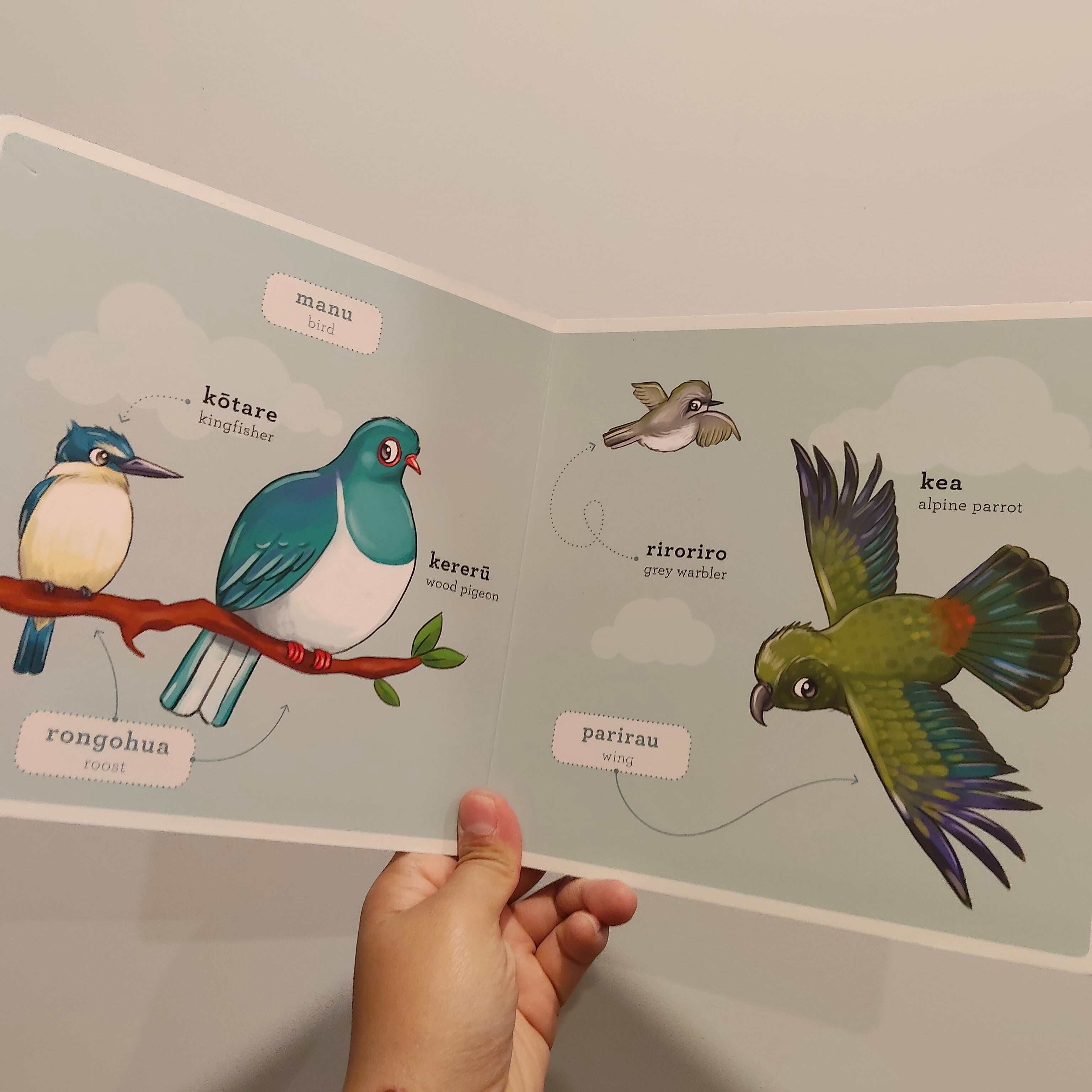 Ngā Manu Māori - Native Birds board book