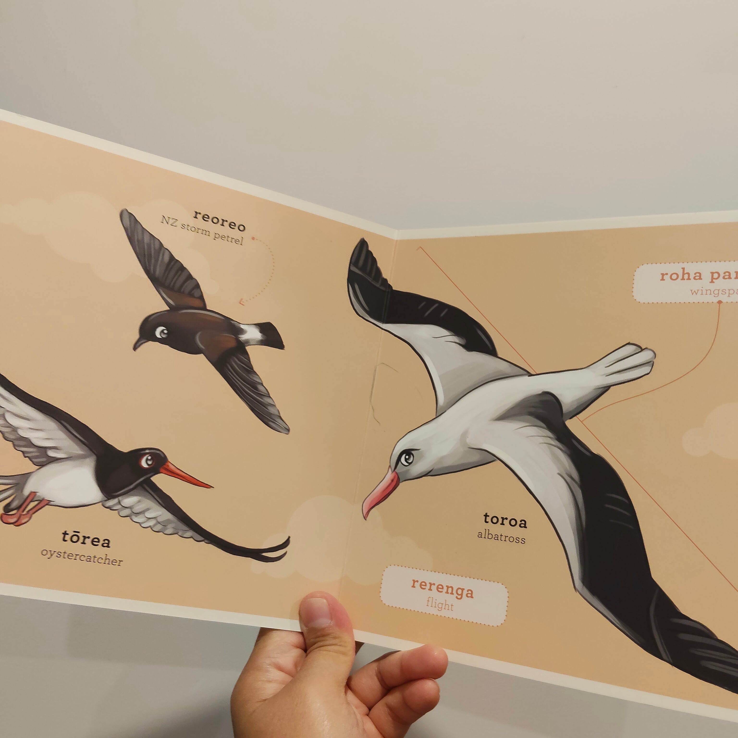 Ngā Manu Māori - Native Birds board book