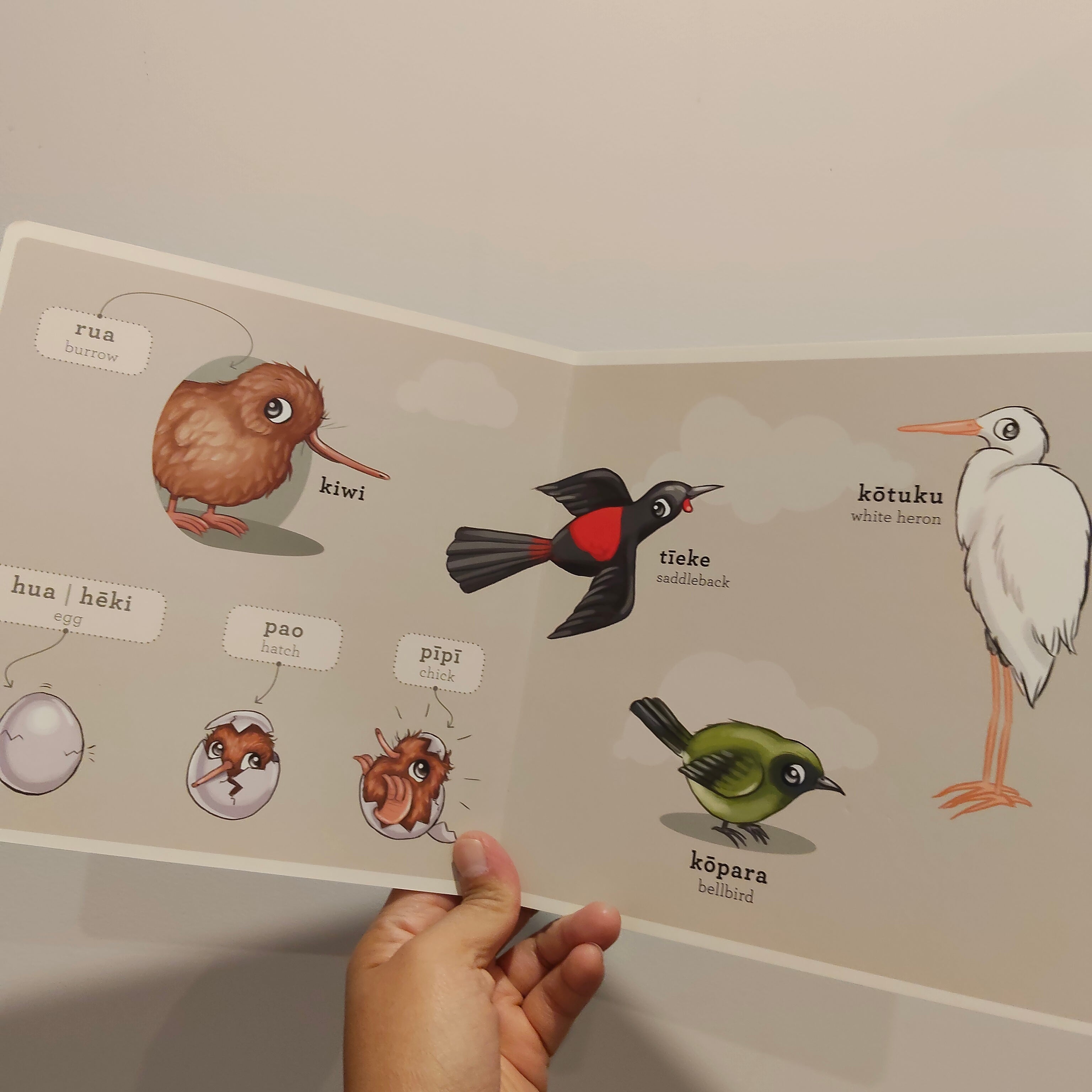 Ngā Manu Māori - Native Birds board book