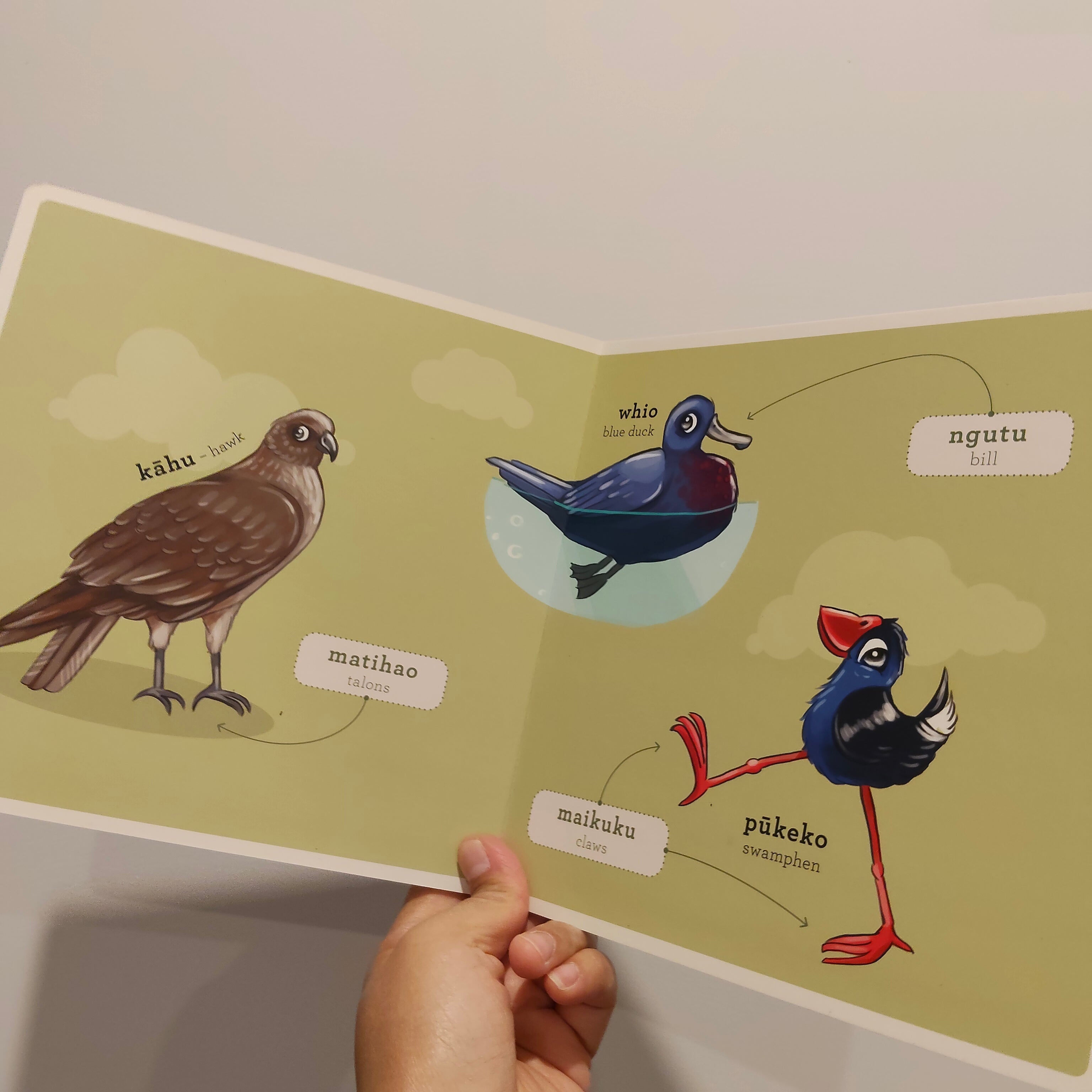 Ngā Manu Māori - Native Birds board book