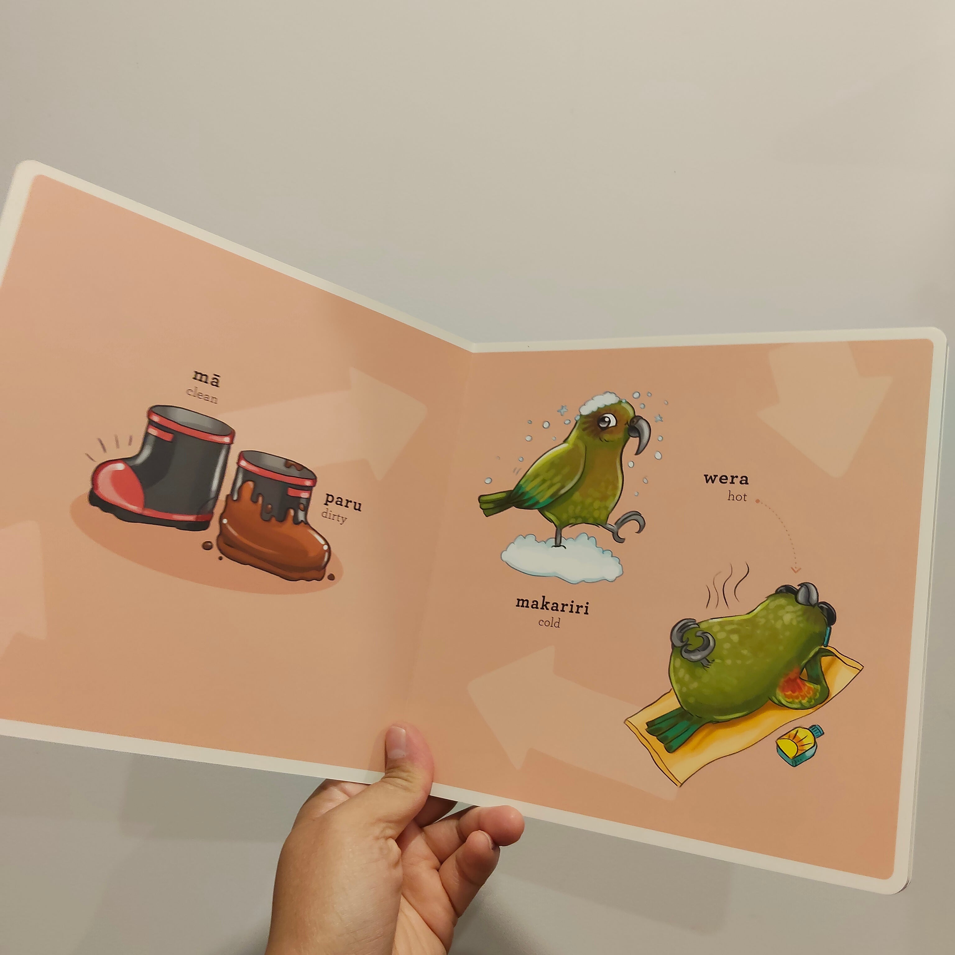 Kuwi & Friends He Kupu Tauaro: Opposites board book