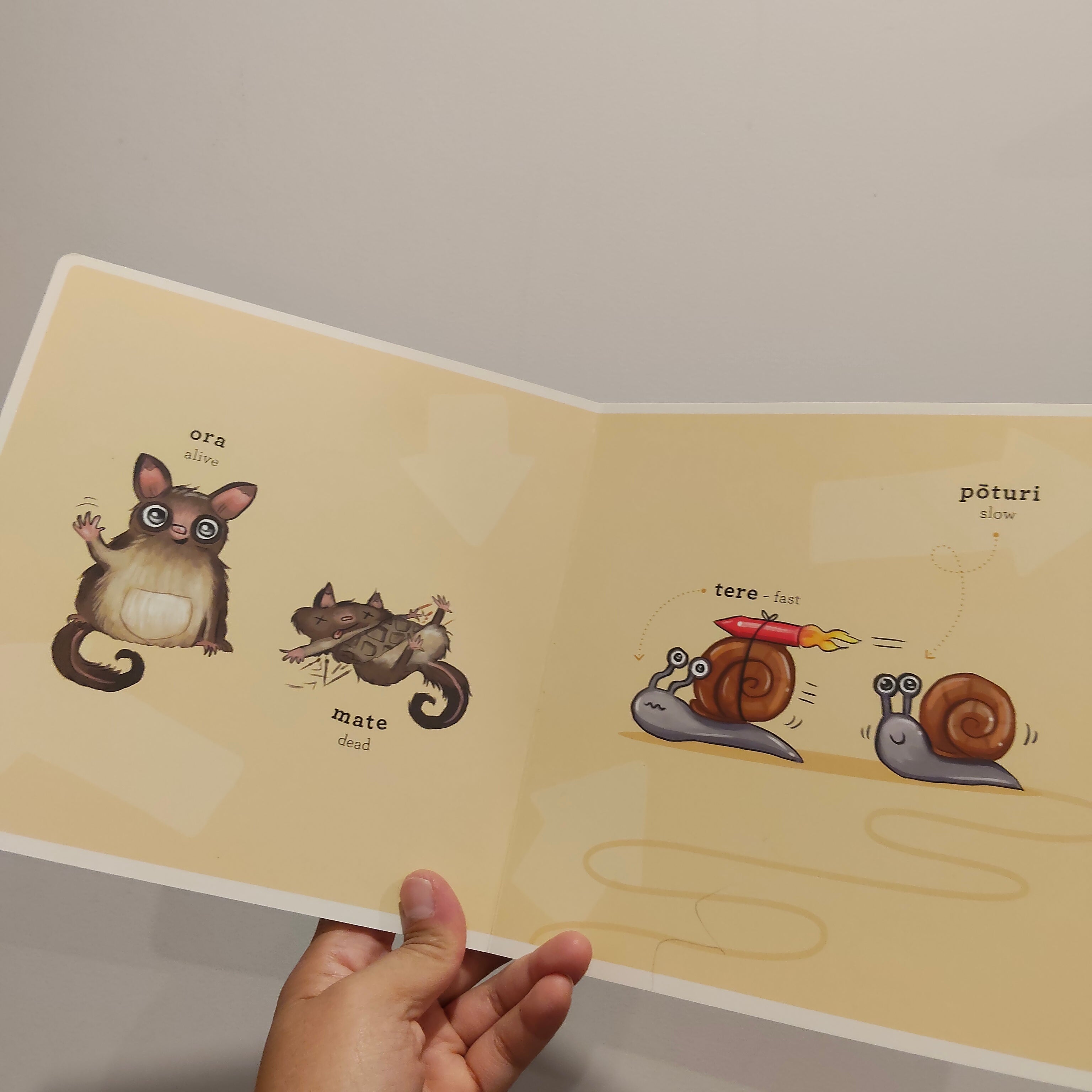 Kuwi & Friends He Kupu Tauaro: Opposites board book