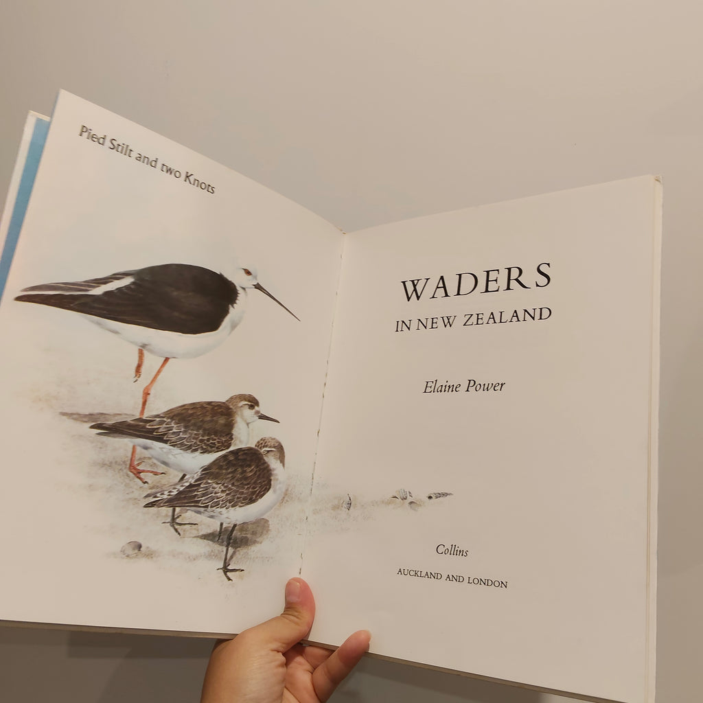 Waders In New Zealand Hardcover by Elaine Power Hardcover Vintage Book