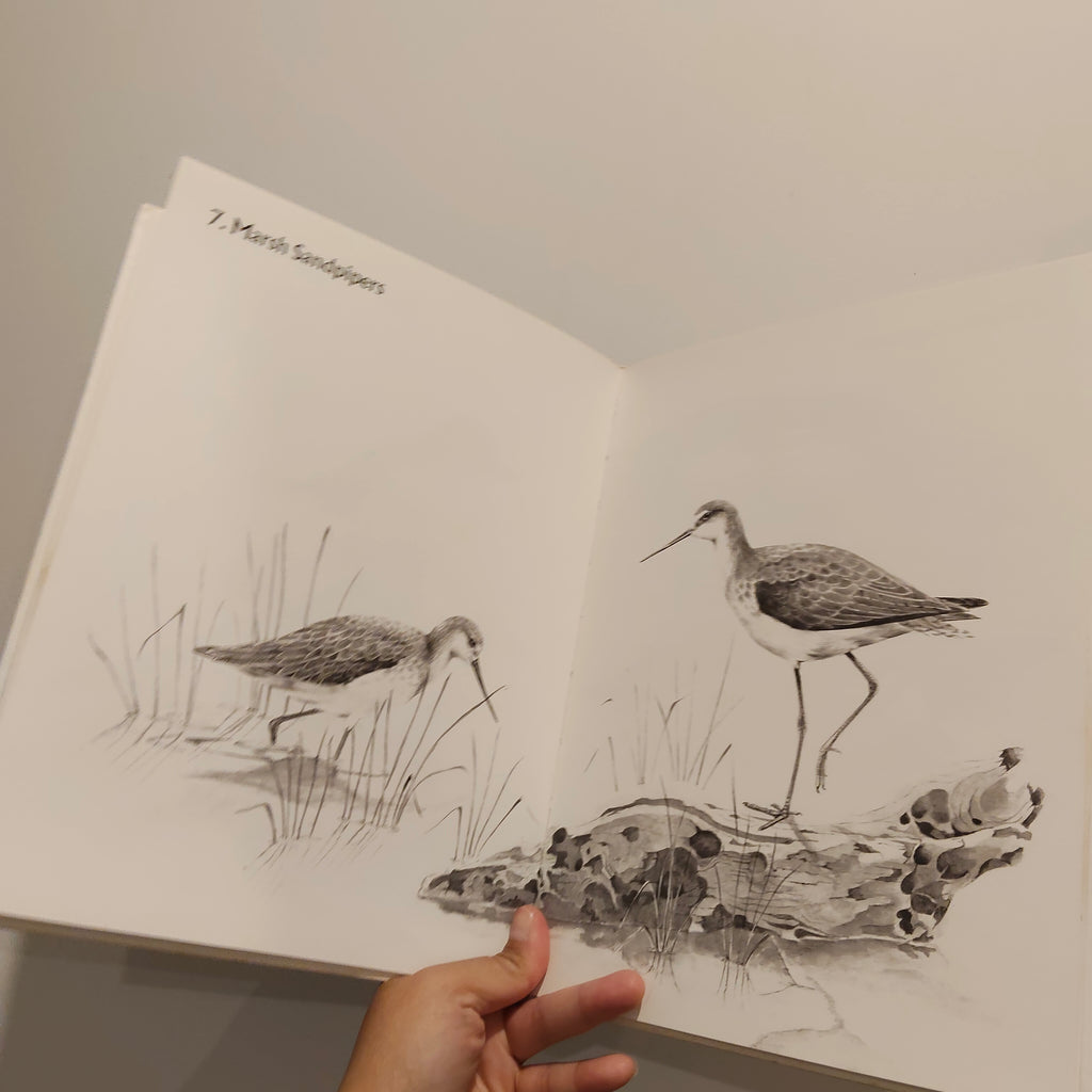Waders In New Zealand Hardcover by Elaine Power Hardcover Vintage Book