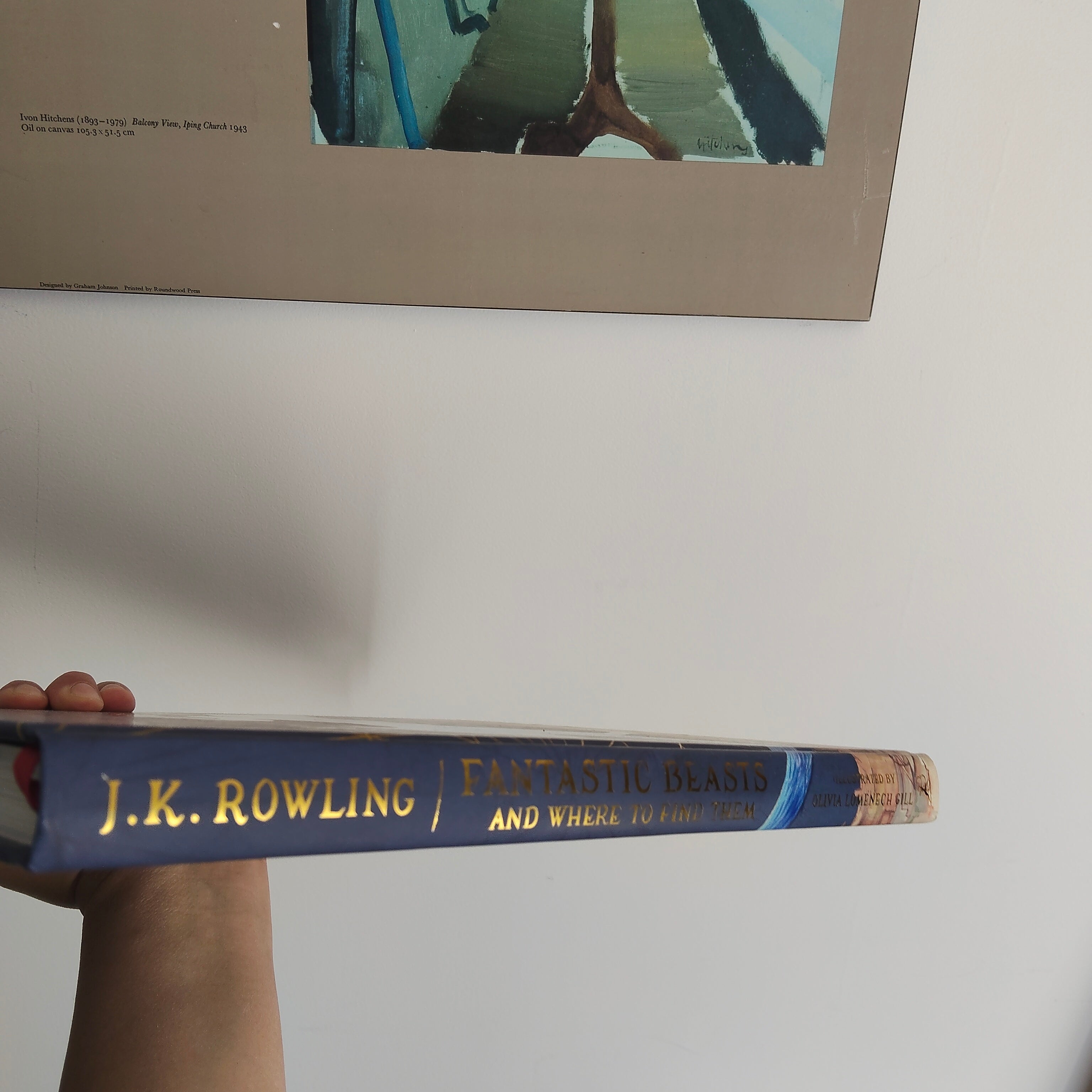 Fantastic Beasts and Where to Find Them: Illustrated Edition Hardcover Book