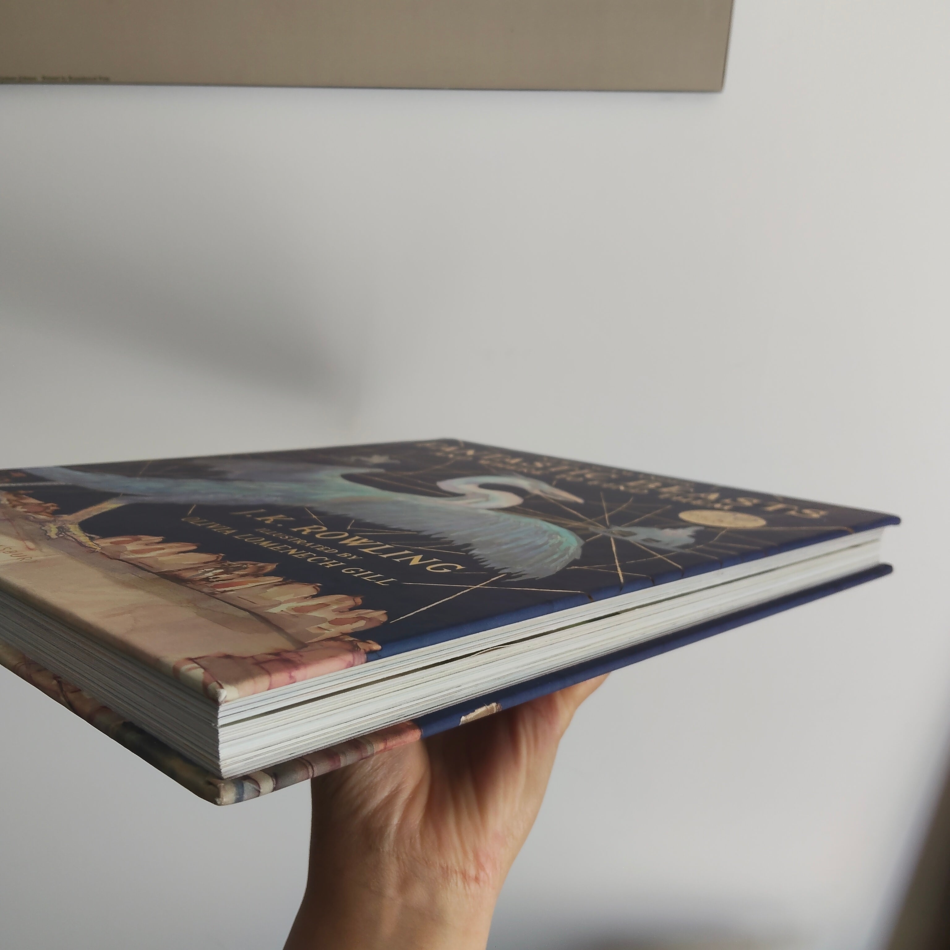 Fantastic Beasts and Where to Find Them: Illustrated Edition Hardcover Book