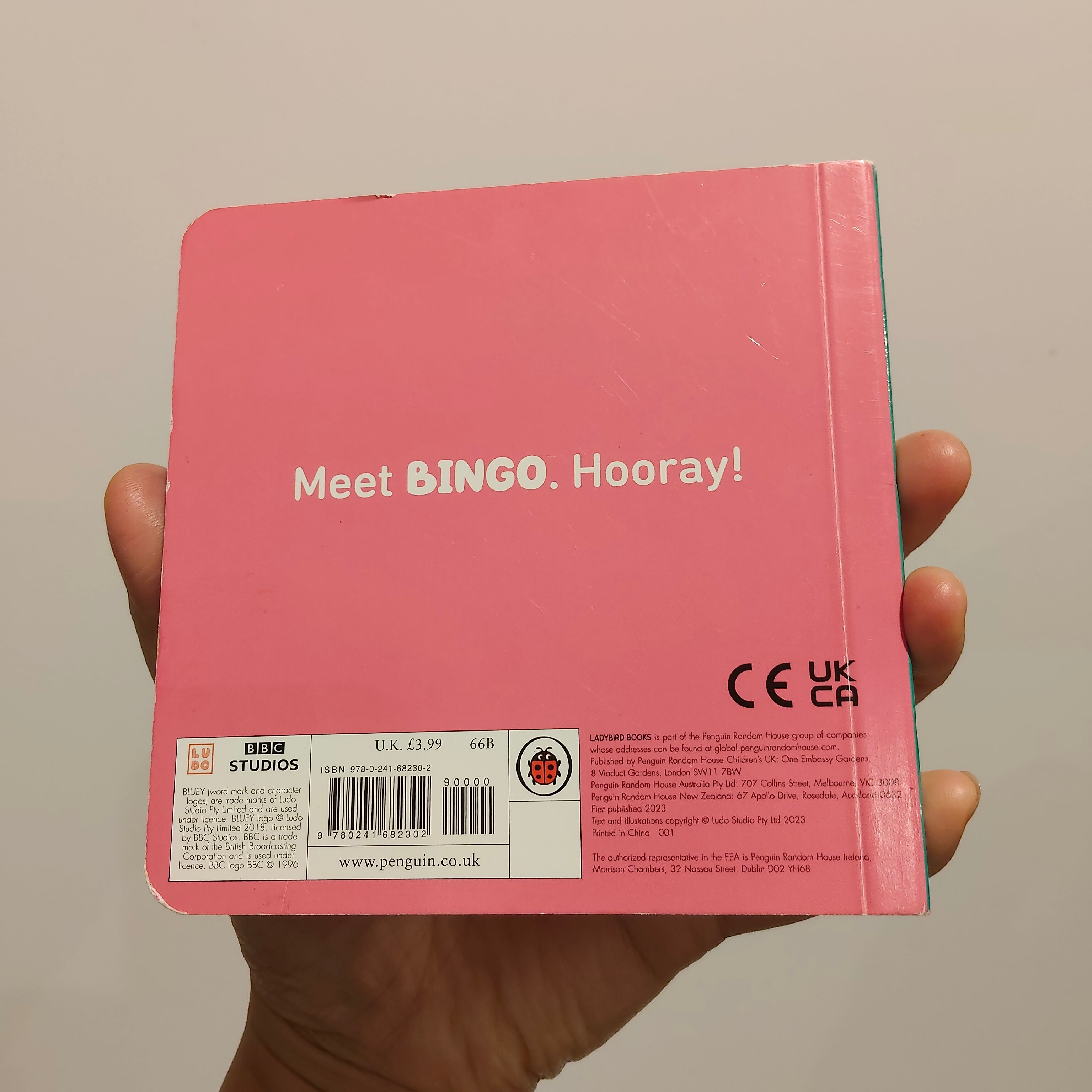 Bluey BINGO Boardbook