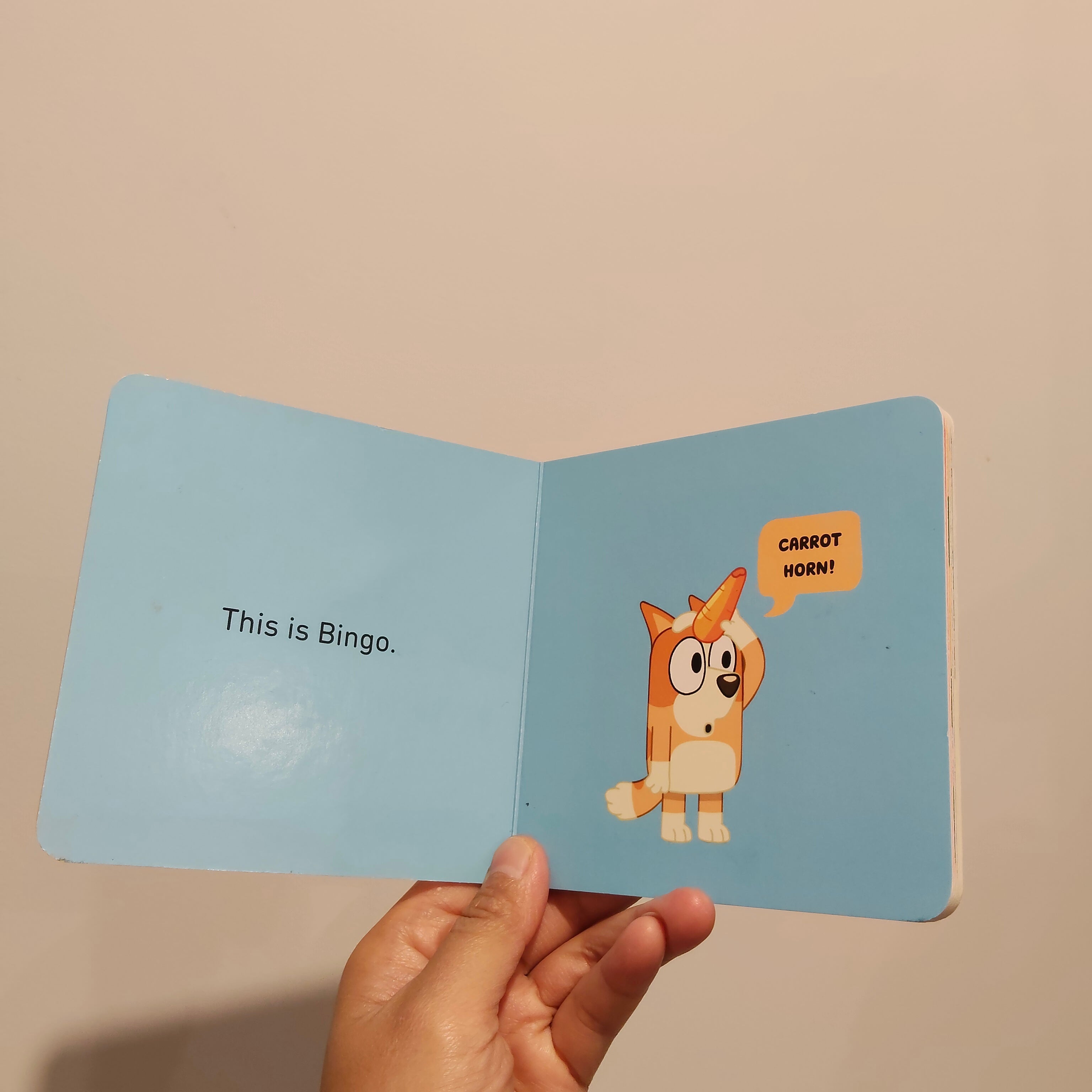 Bluey BINGO Boardbook