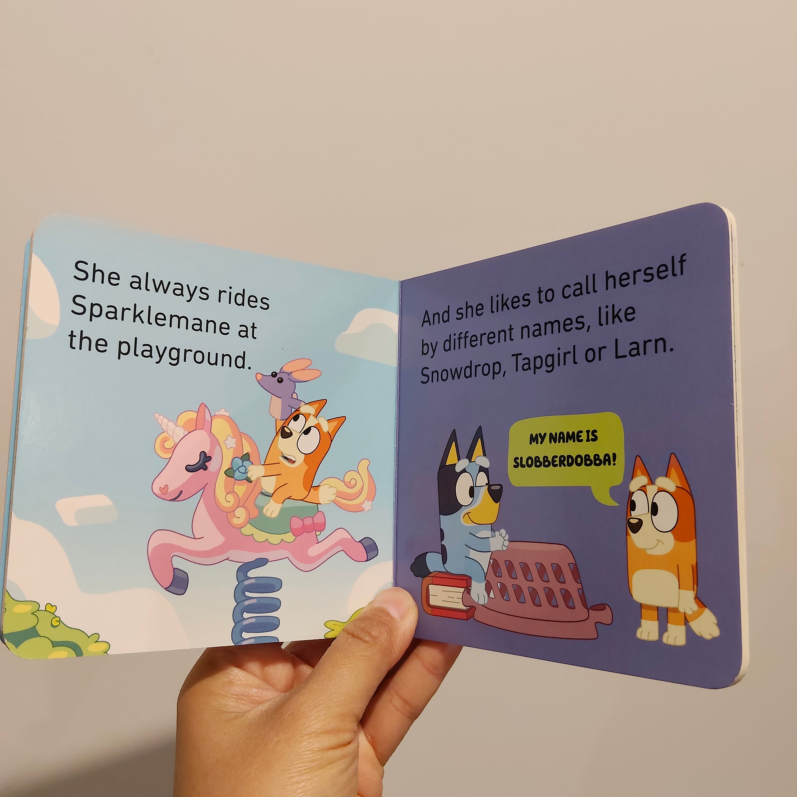 Bluey BINGO Boardbook