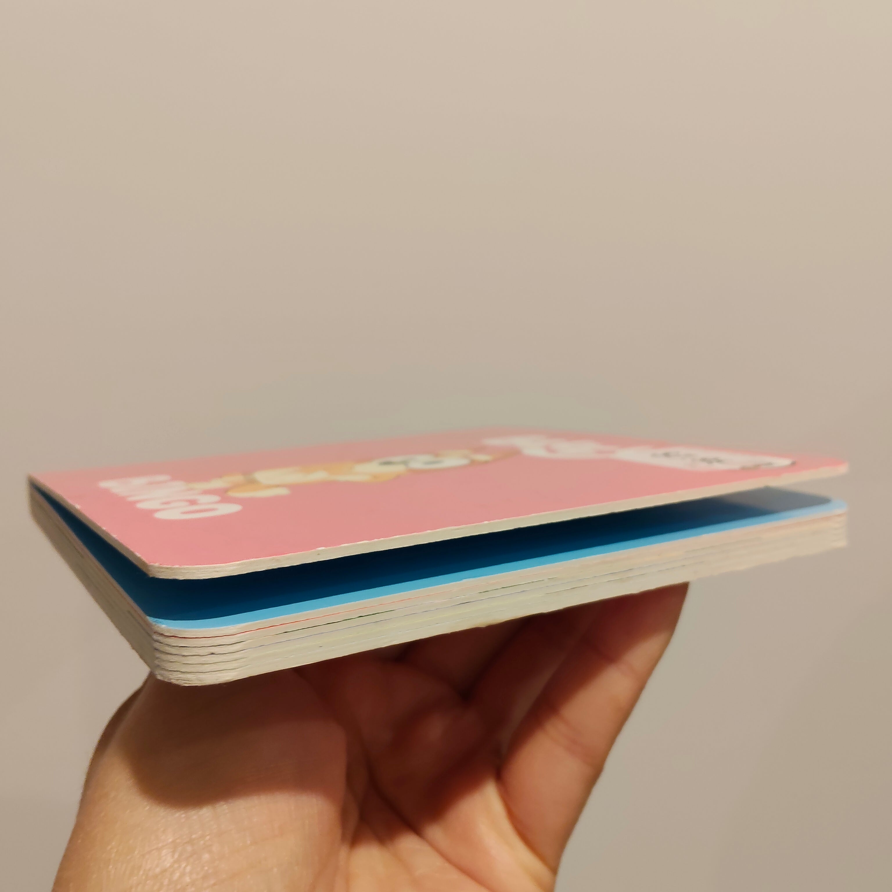 Bluey BINGO Boardbook