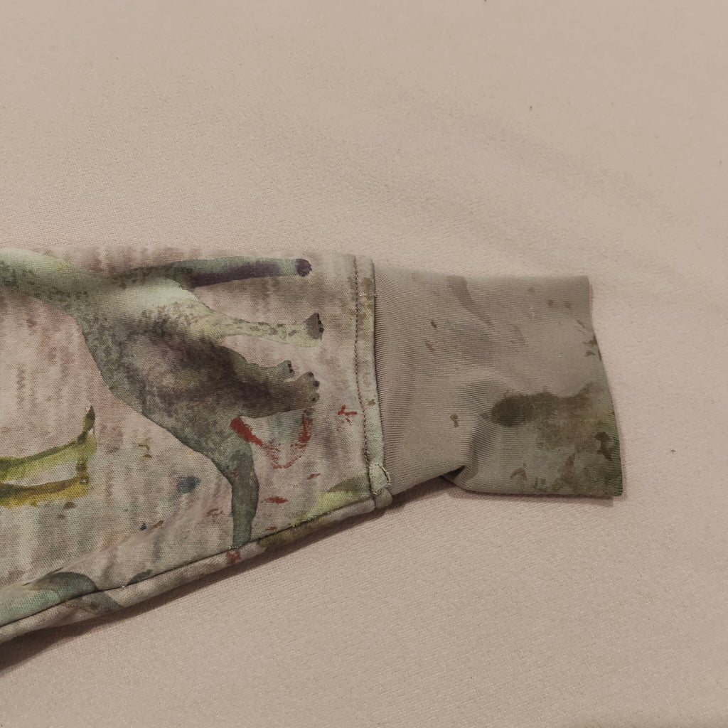 THERM jacket size 2 boys Dinosaur (marks)