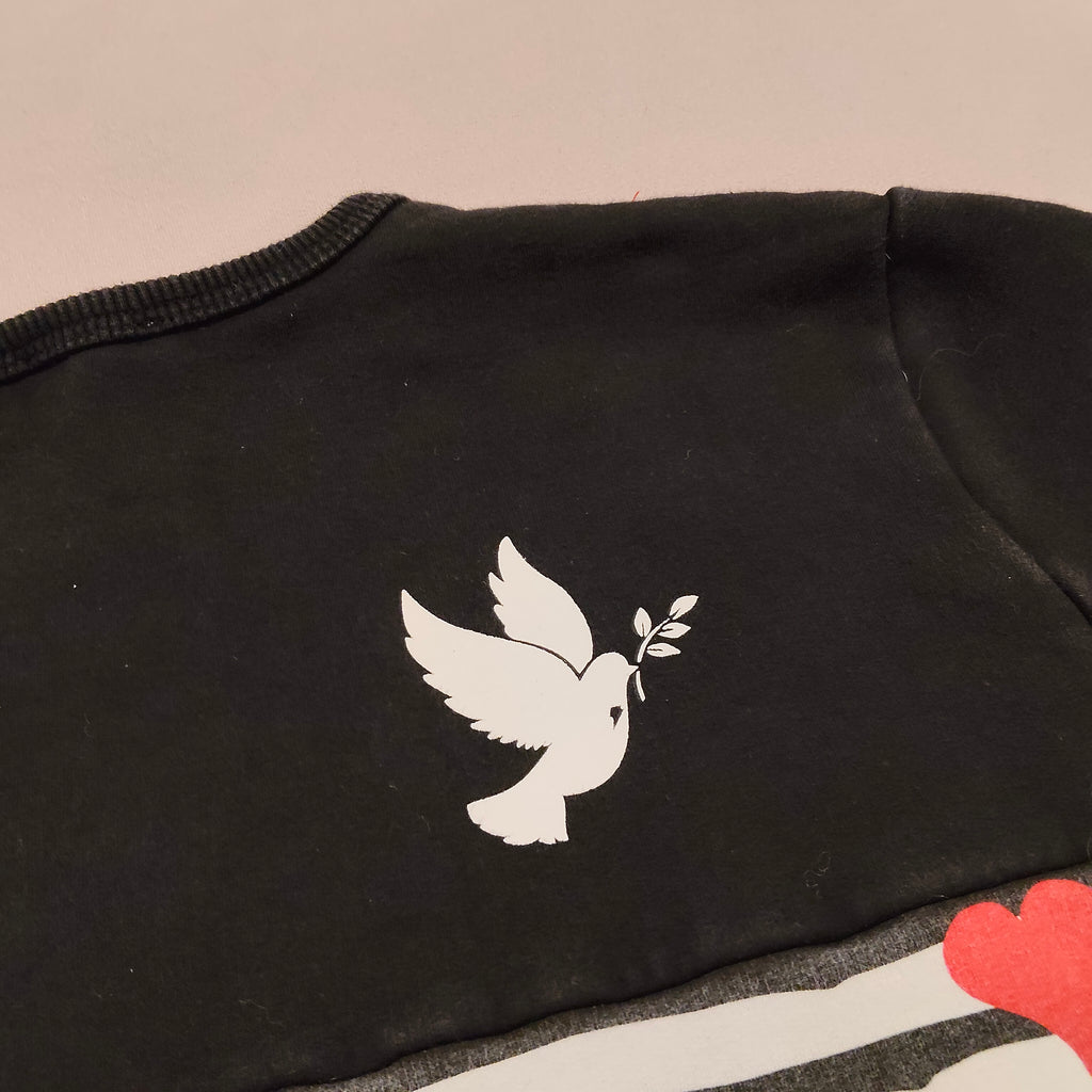 RADICOOL hoodie size 12 girls