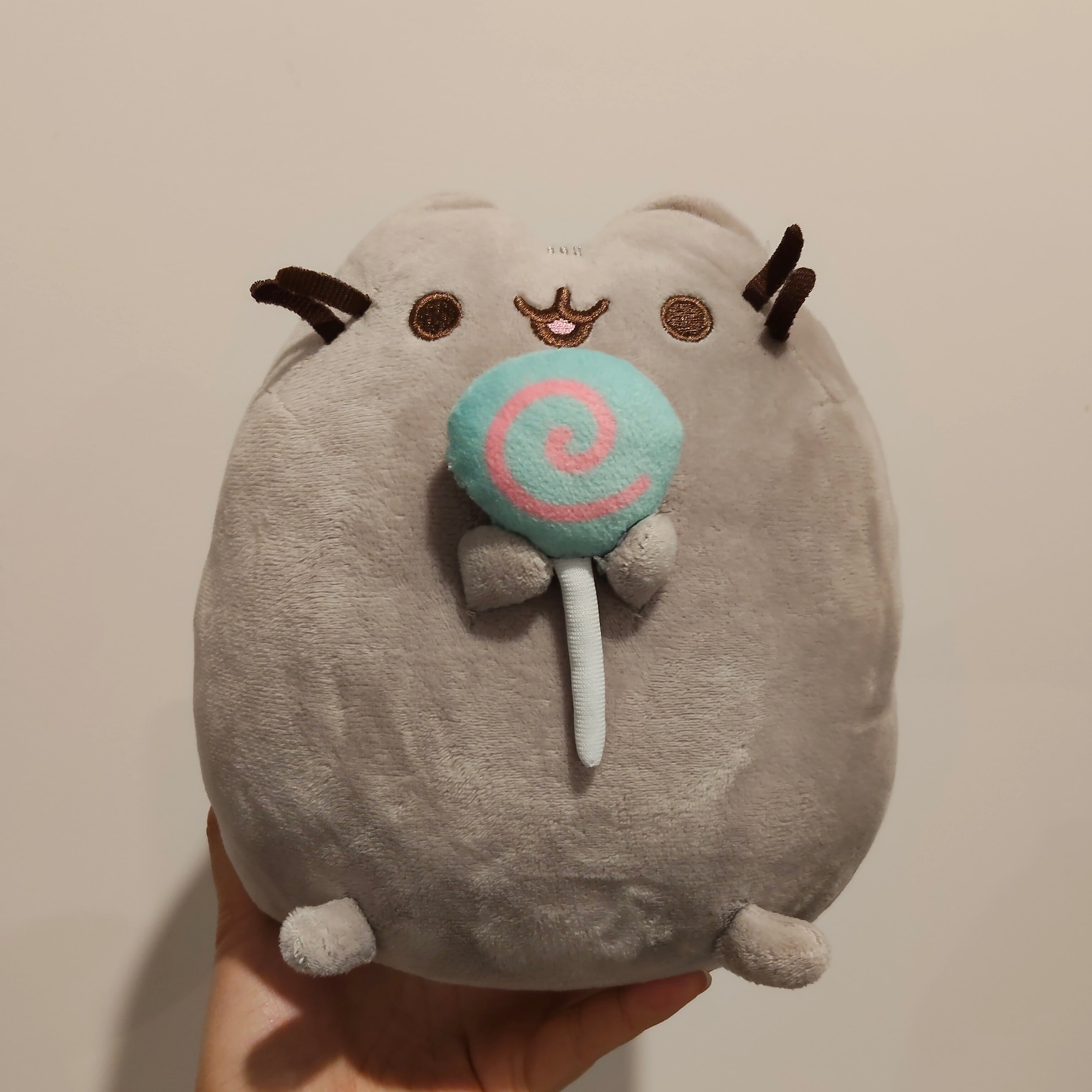 Pusheen the cat lollipop 20cm