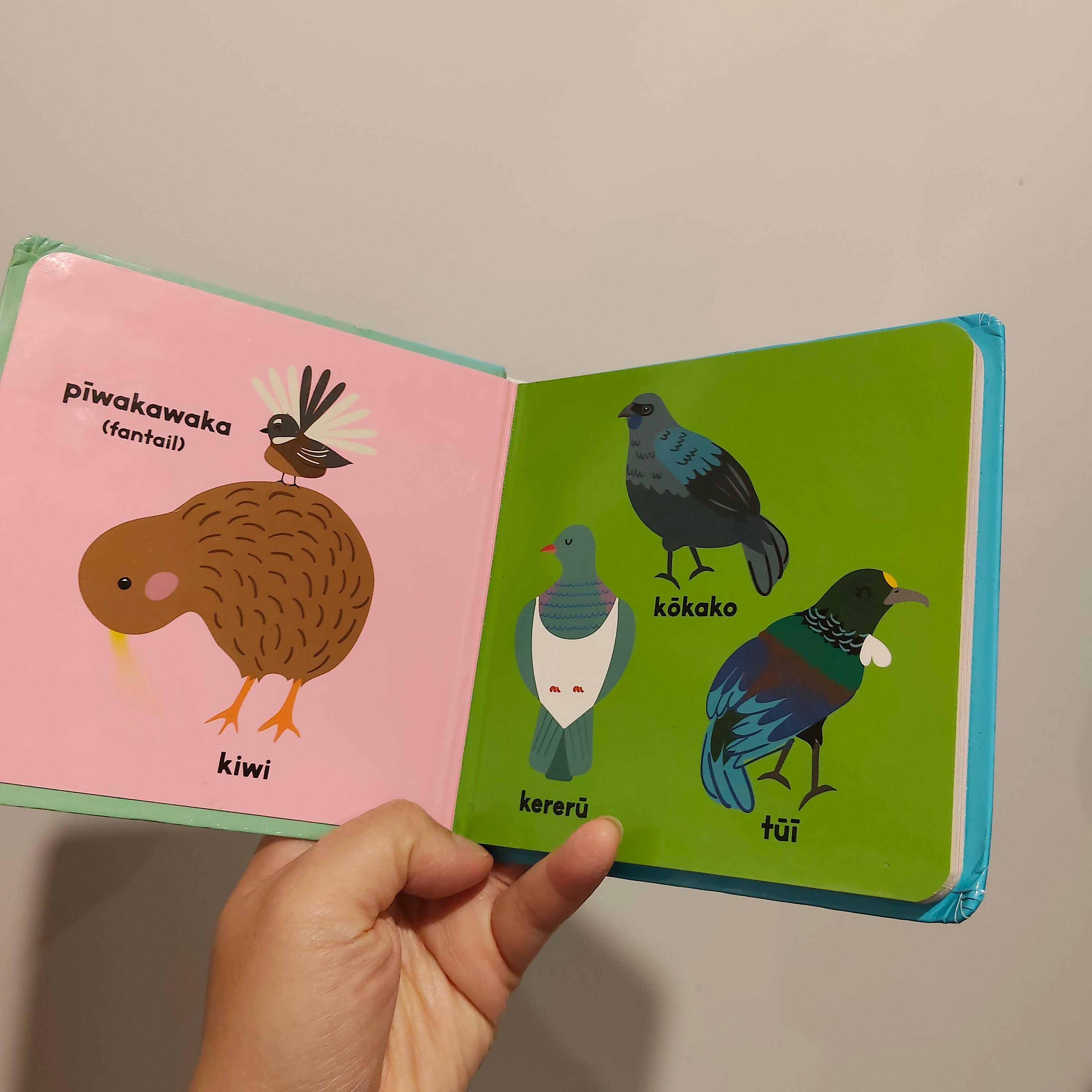 MOANA RD Animals of Aotearoa Board Book