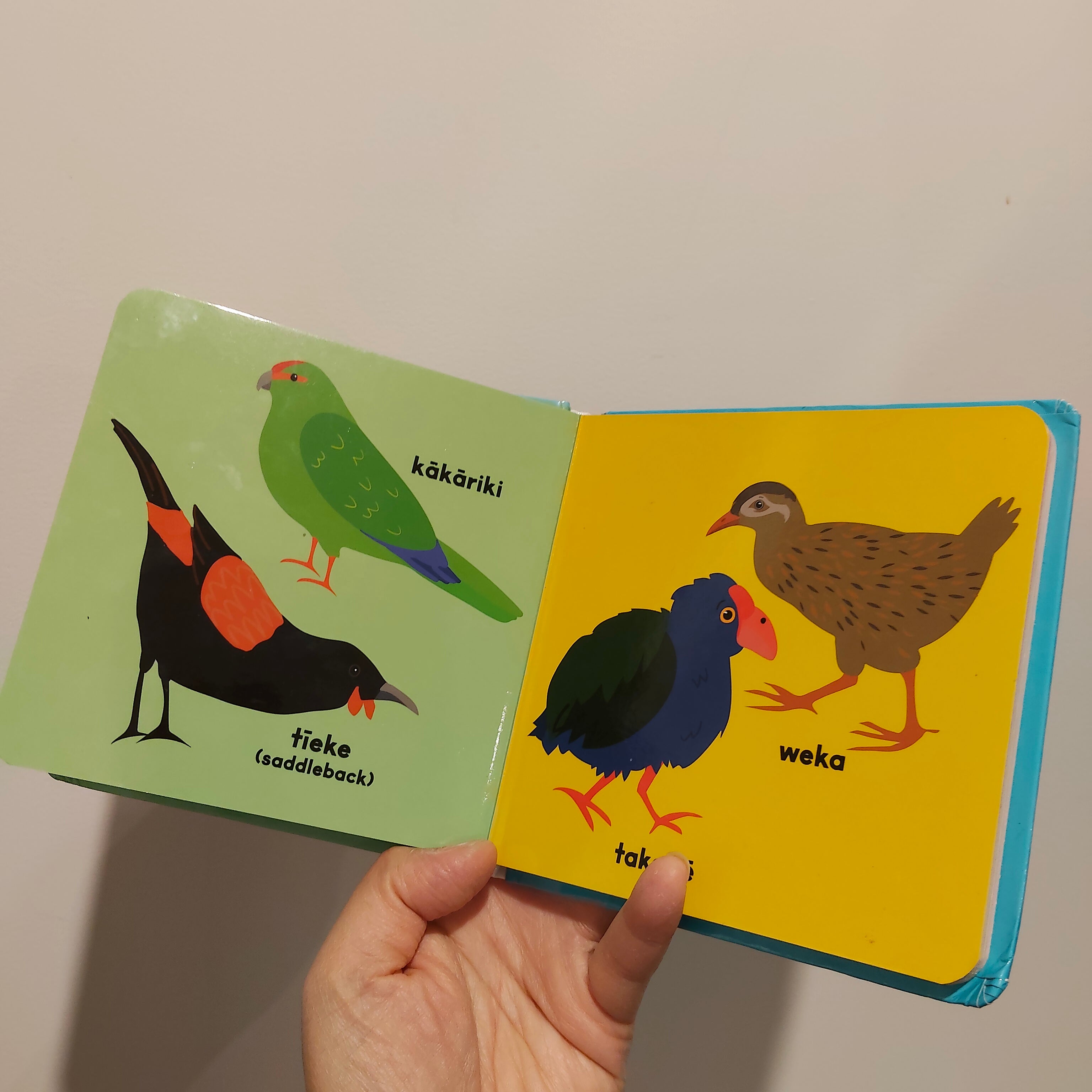 MOANA RD Animals of Aotearoa Board Book