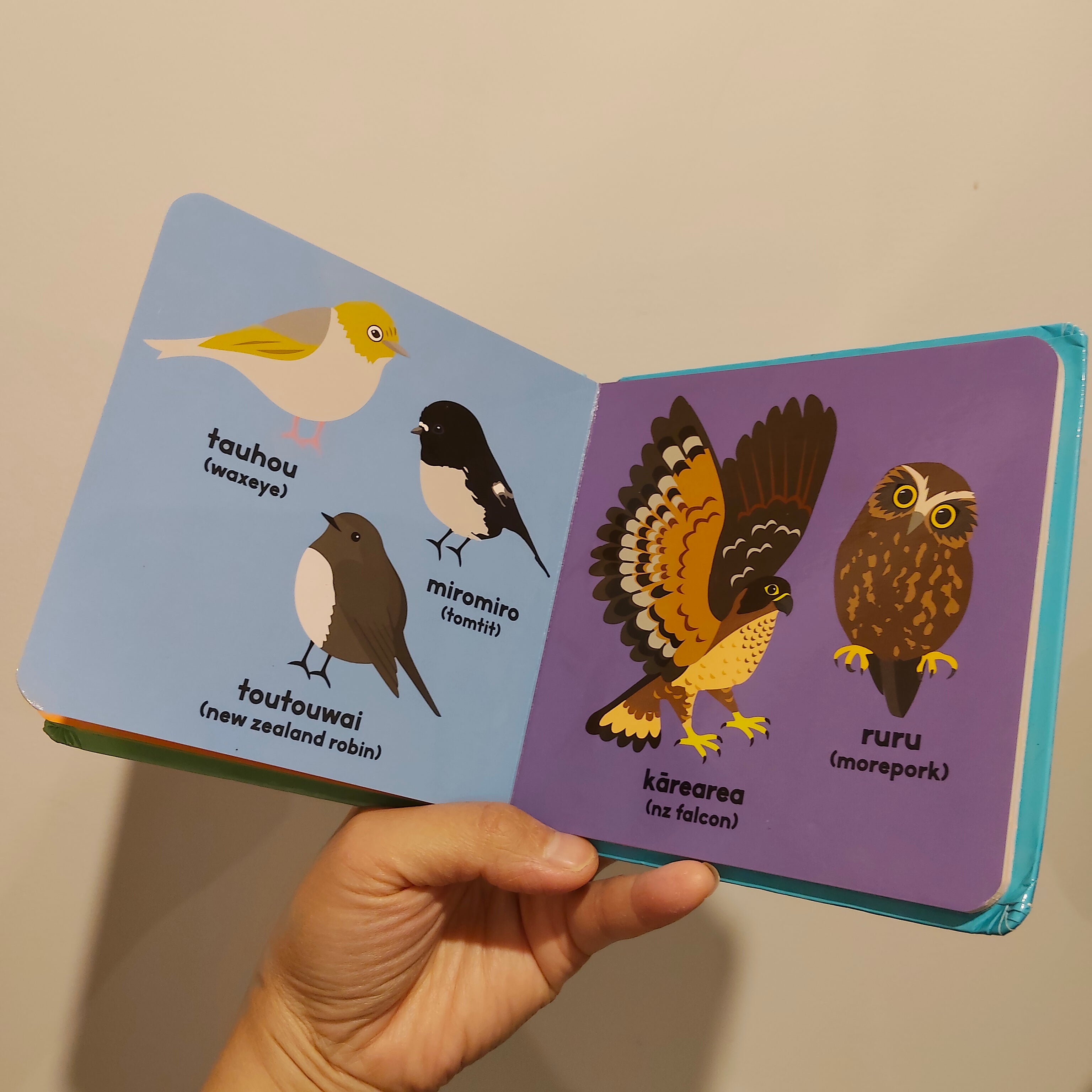 MOANA RD Animals of Aotearoa Board Book