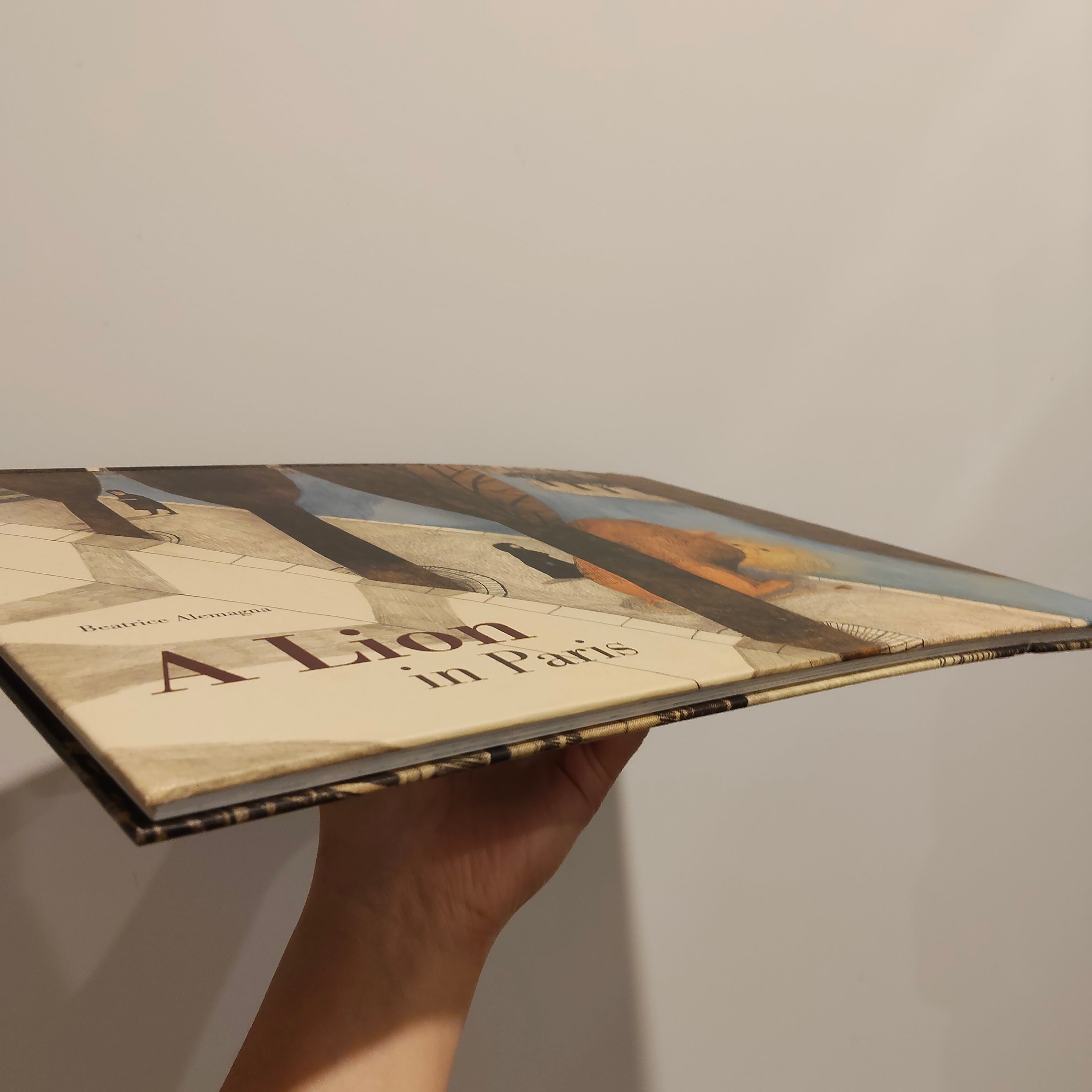 A Lion in Paris by Beatrice Alemagna Hardcover Book Large