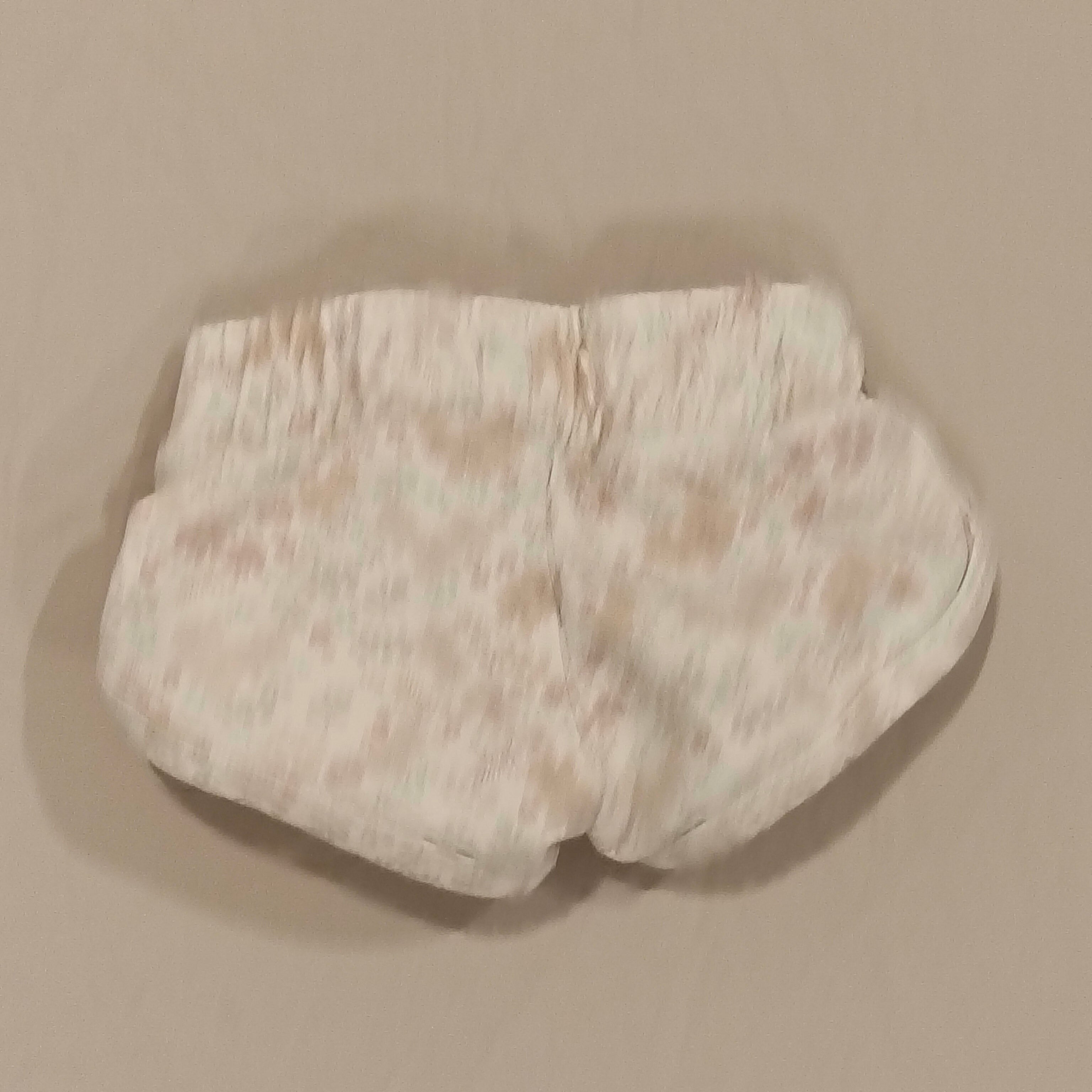 JAMIE KAY shorts size 1y girls