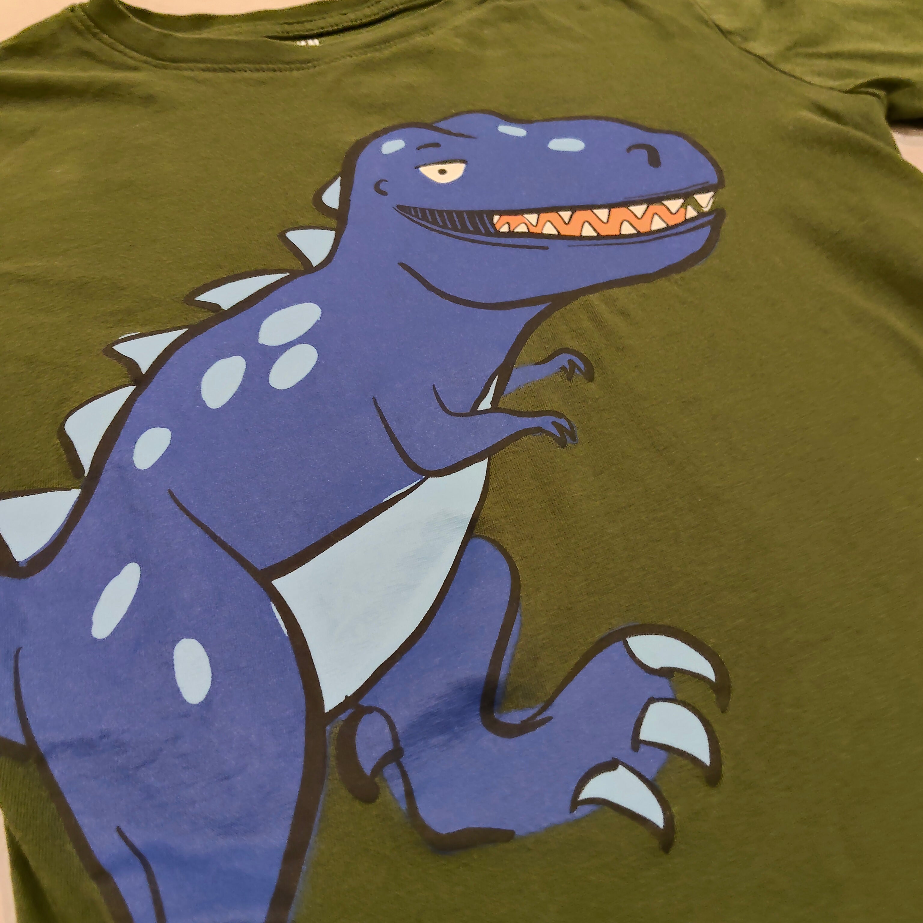 H&M top size 6-8y boys long sleeve green dinosaur