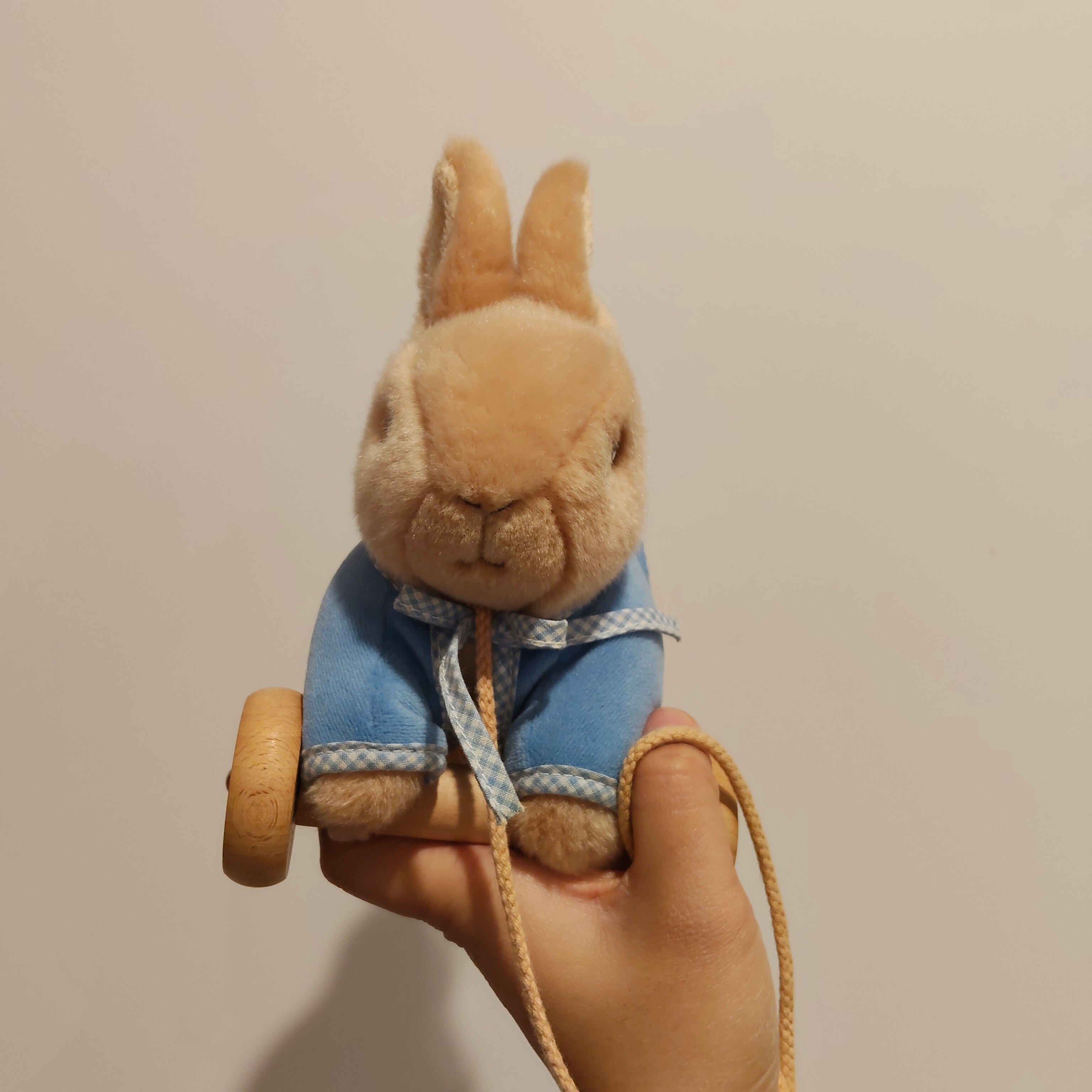 Beatrix Potter Peter Rabbit Pull Along toy