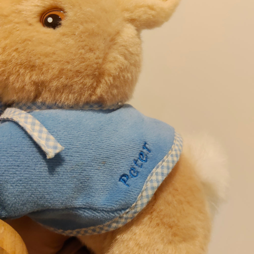 Beatrix Potter Peter Rabbit Pull Along toy